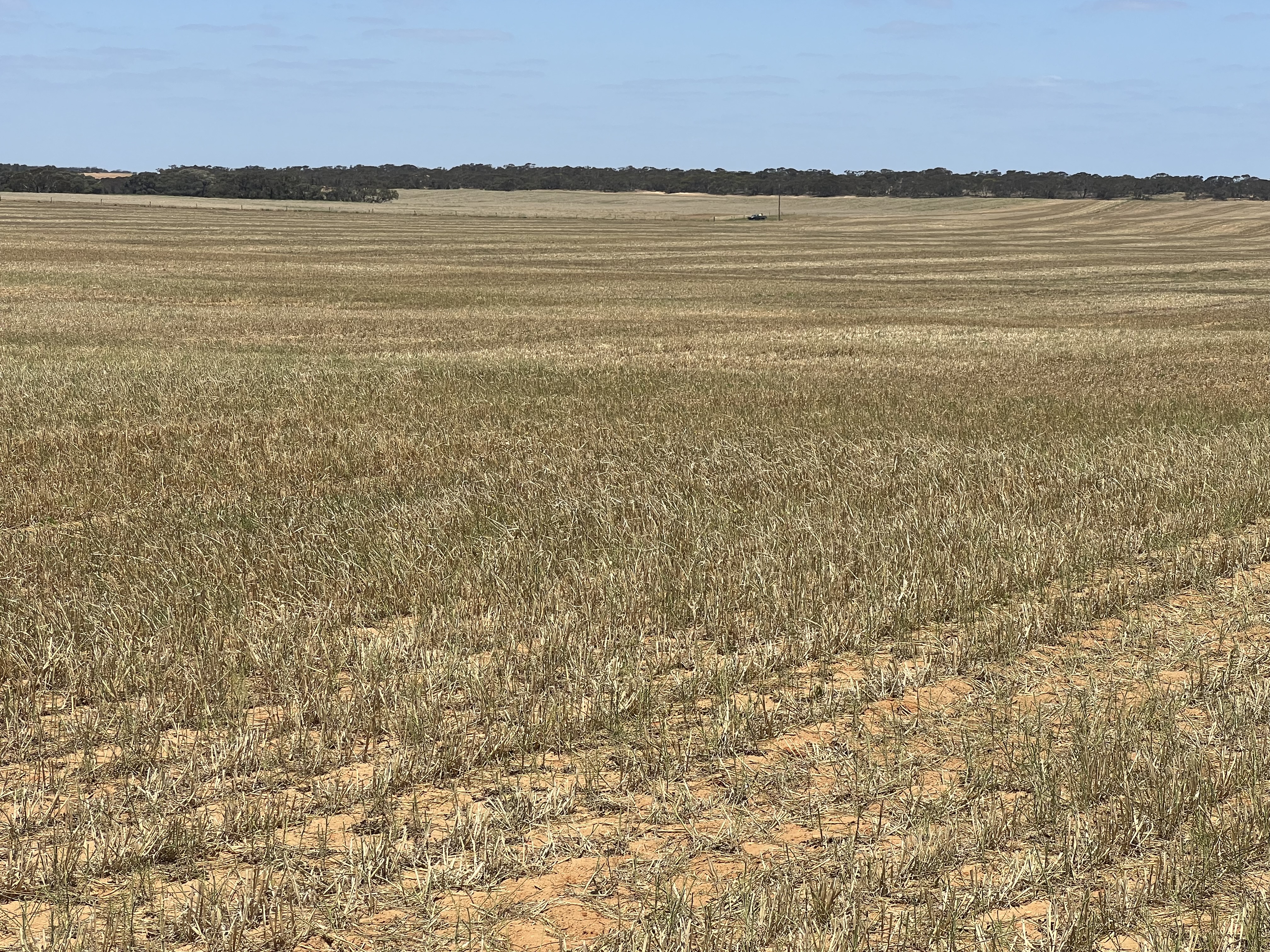 1523 Geranium North Road, Geranium SA 5301