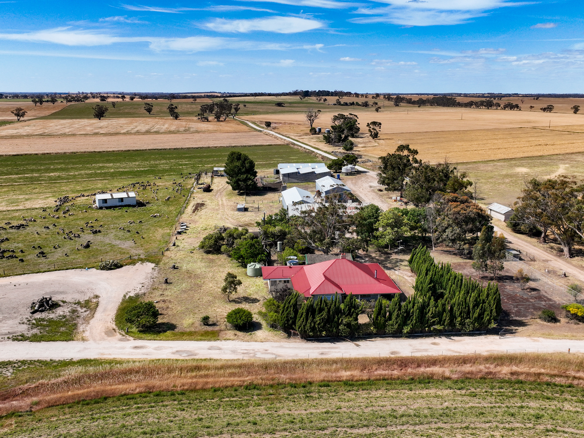 2212 Carew Road, Mundulla SA 5270