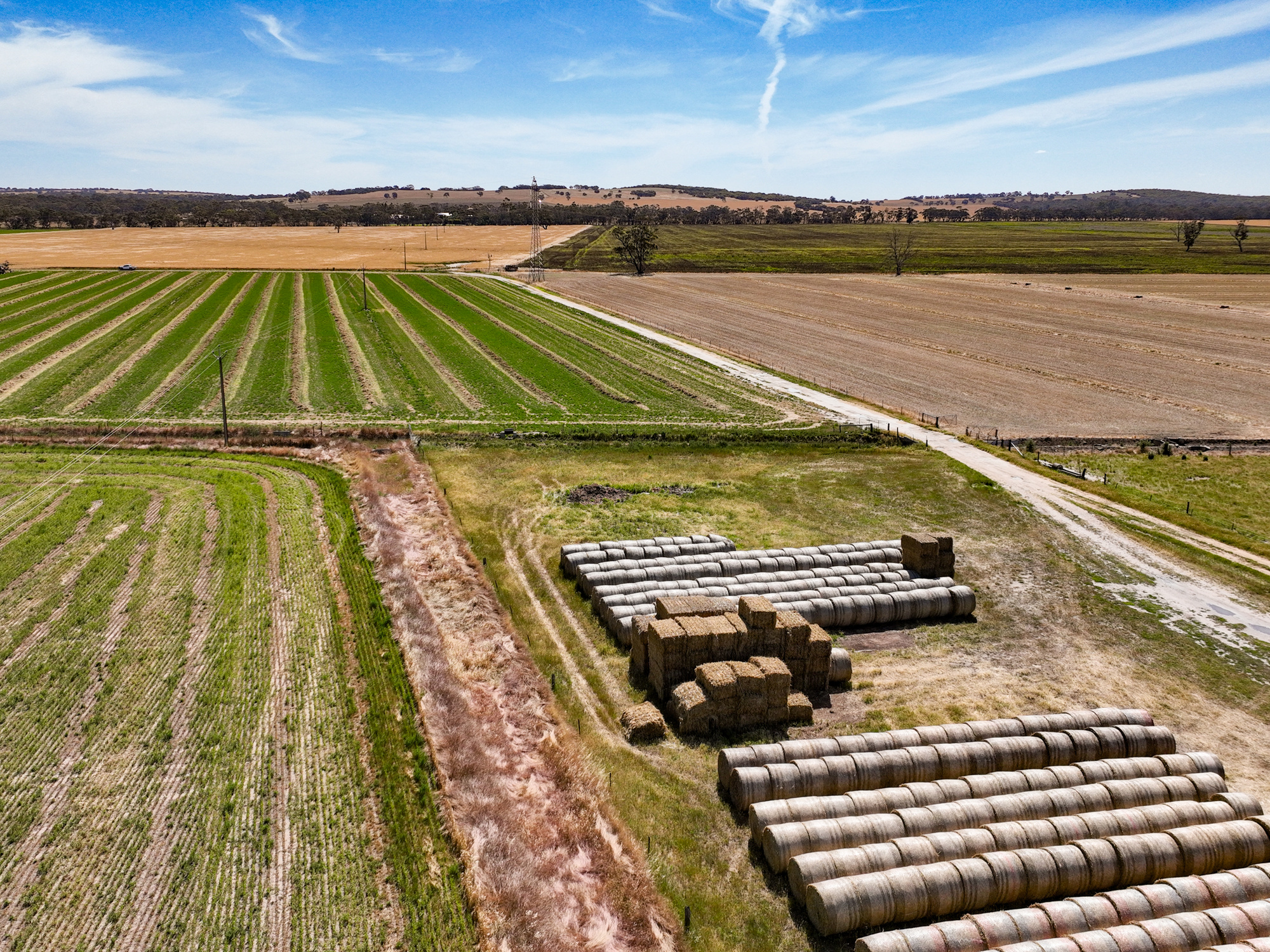 2212 Carew Road, Mundulla SA 5270