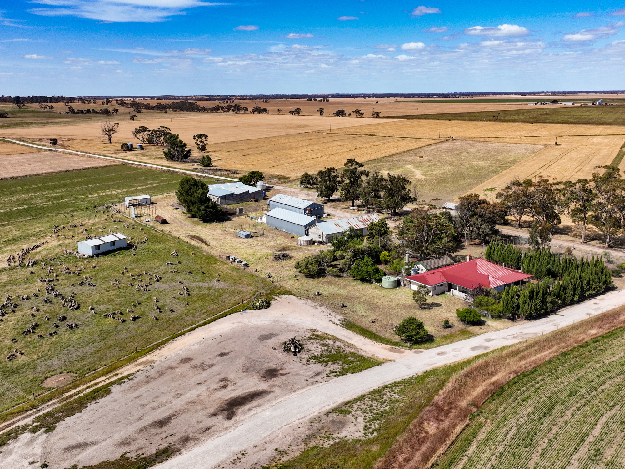 2212 Carew Road, Mundulla SA 5270