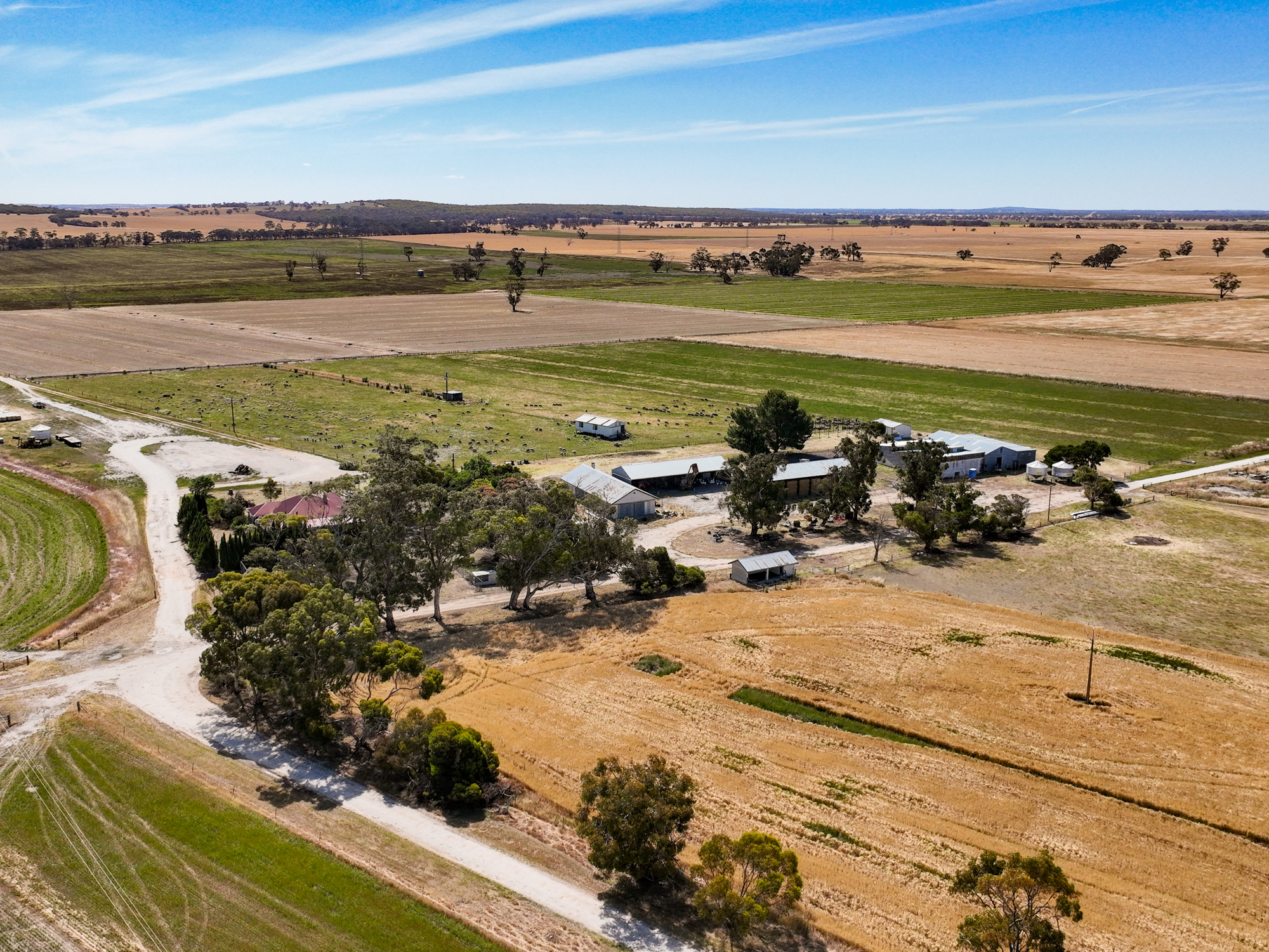 2212 Carew Road, Mundulla SA 5270