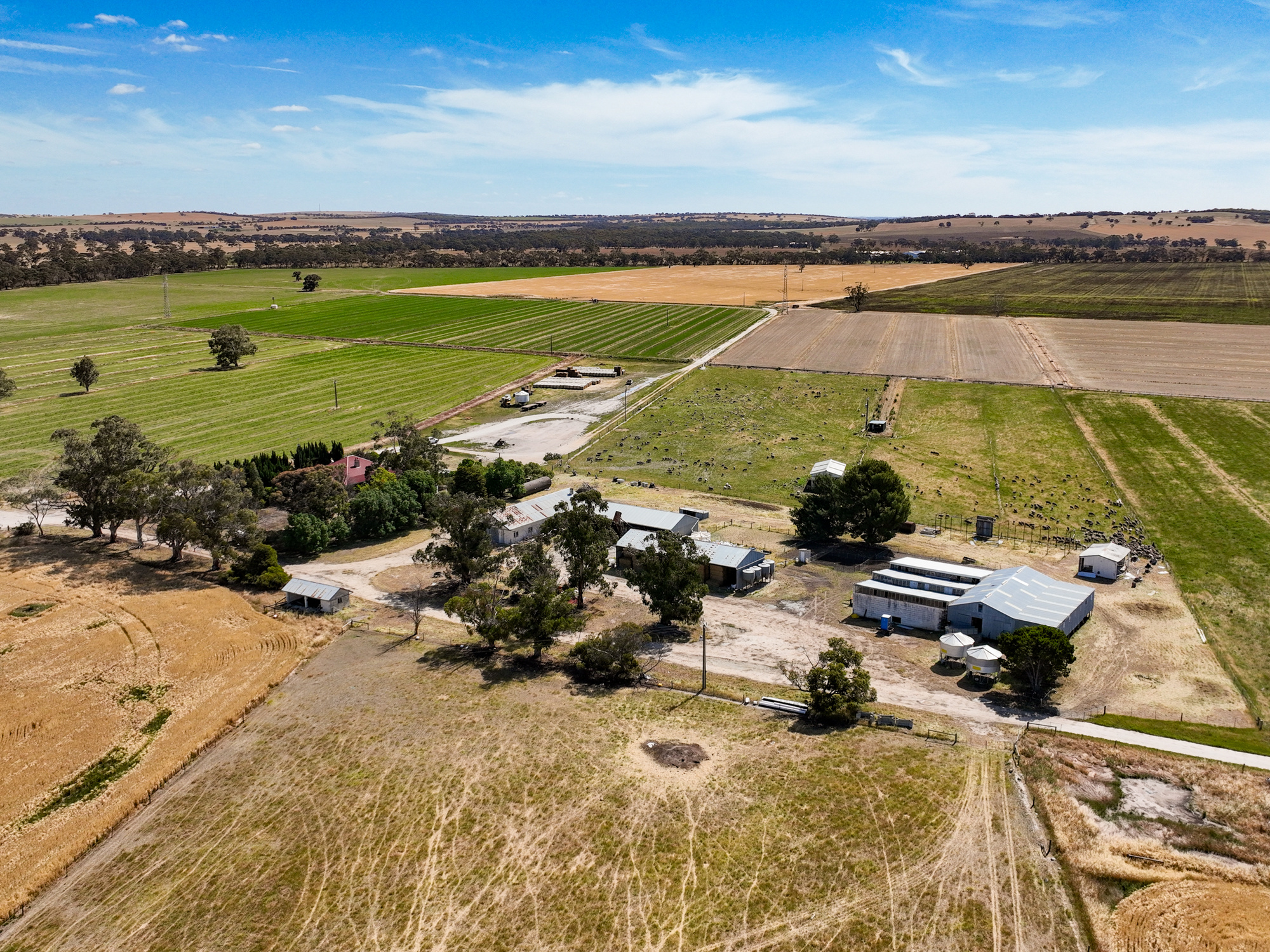 2212 Carew Road, Mundulla SA 5270