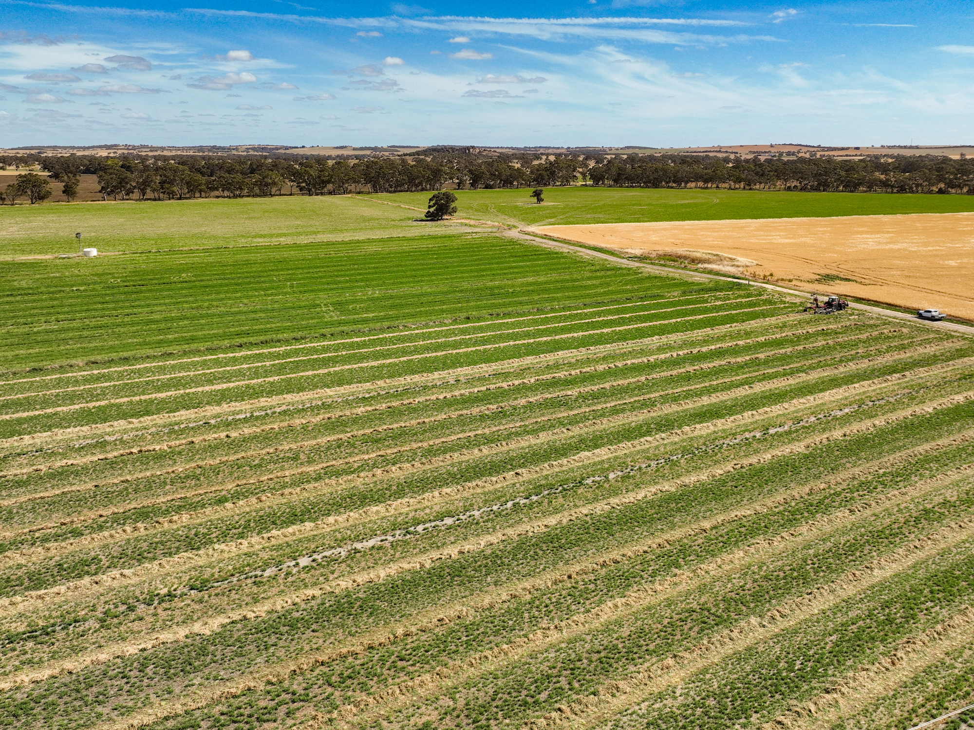 2212 Carew Road, Mundulla SA 5270