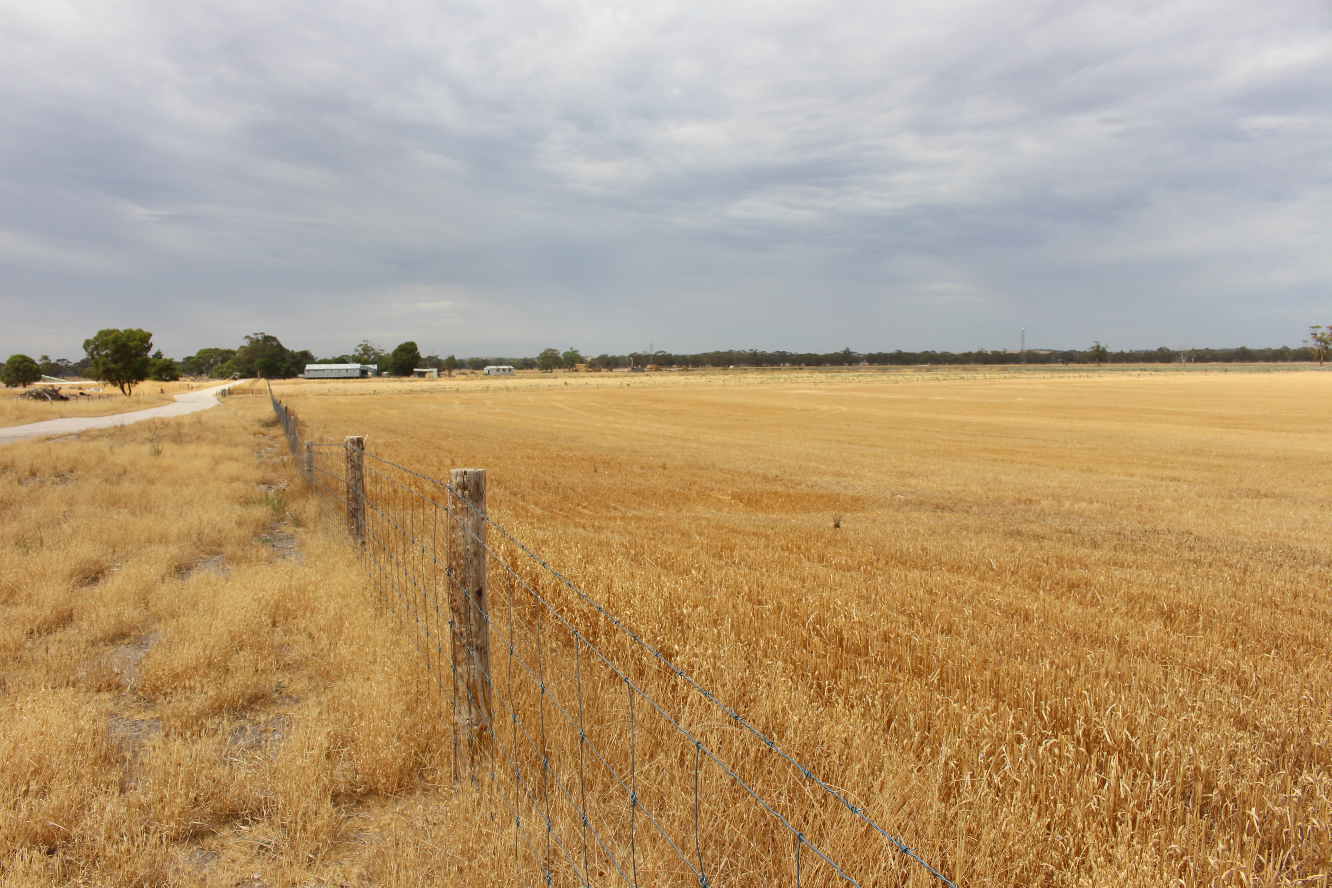 2212 Carew Road, Mundulla SA 5270