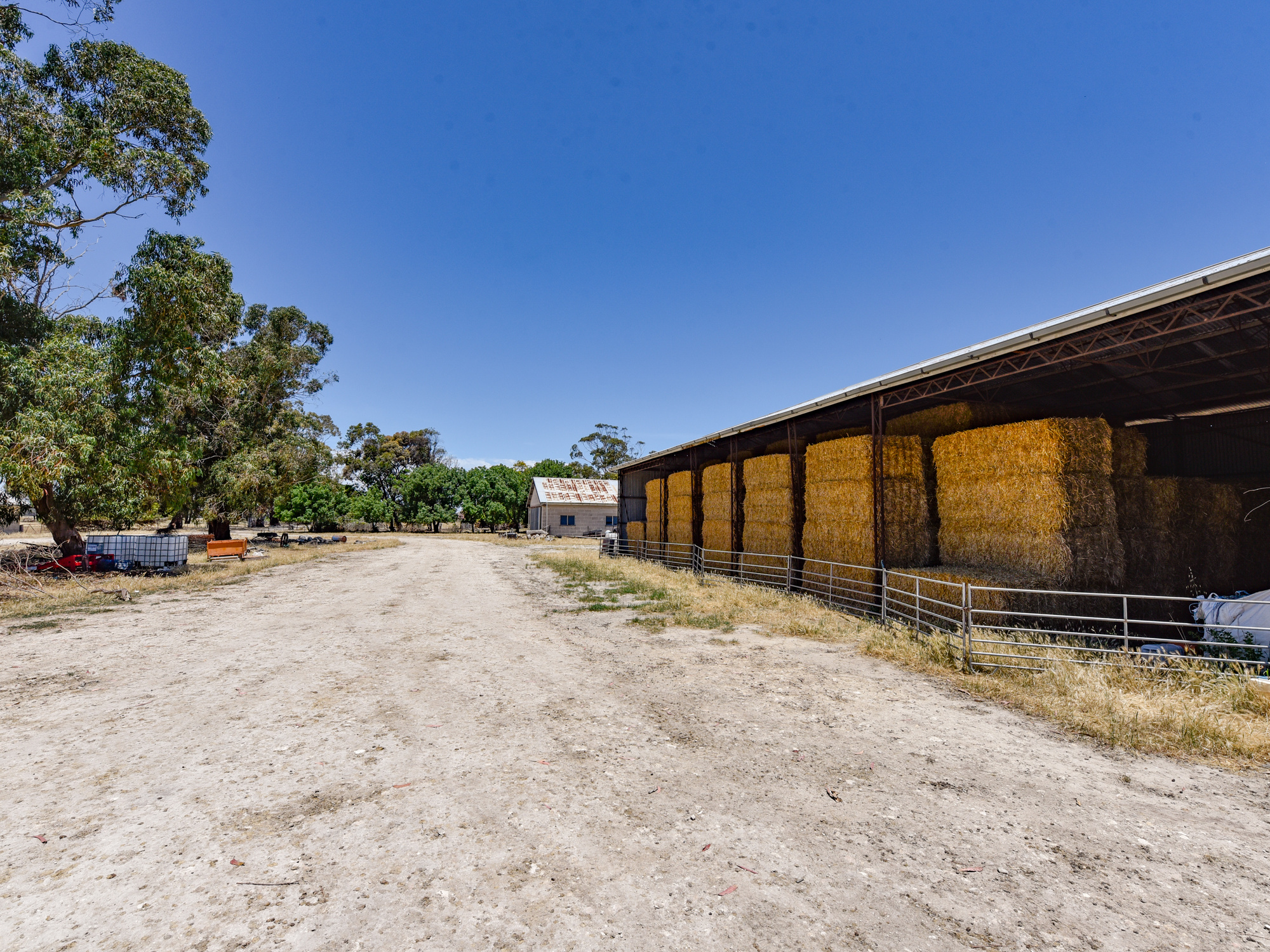 2212 Carew Road, Mundulla SA 5270