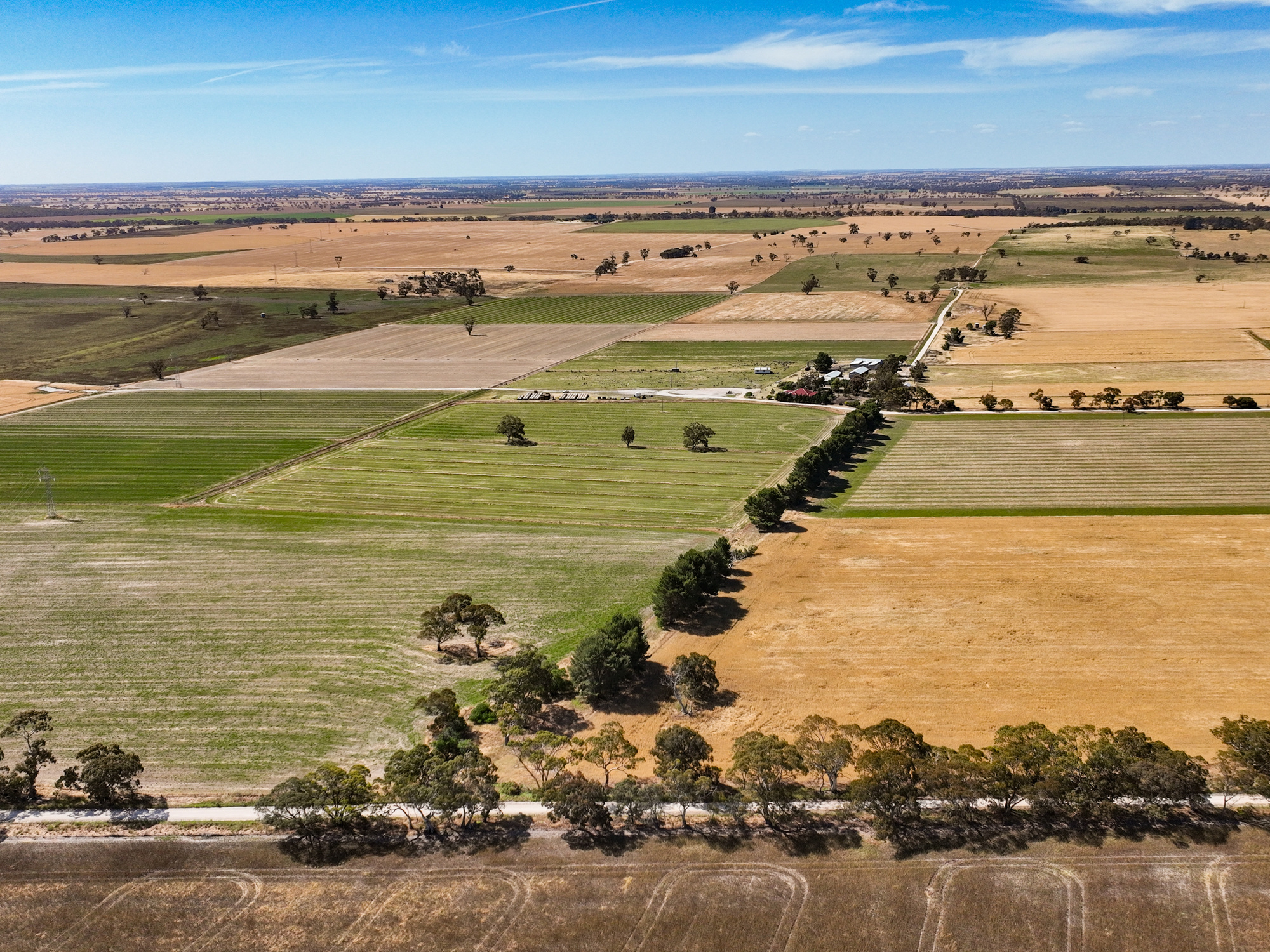 2212 Carew Road, Mundulla SA 5270