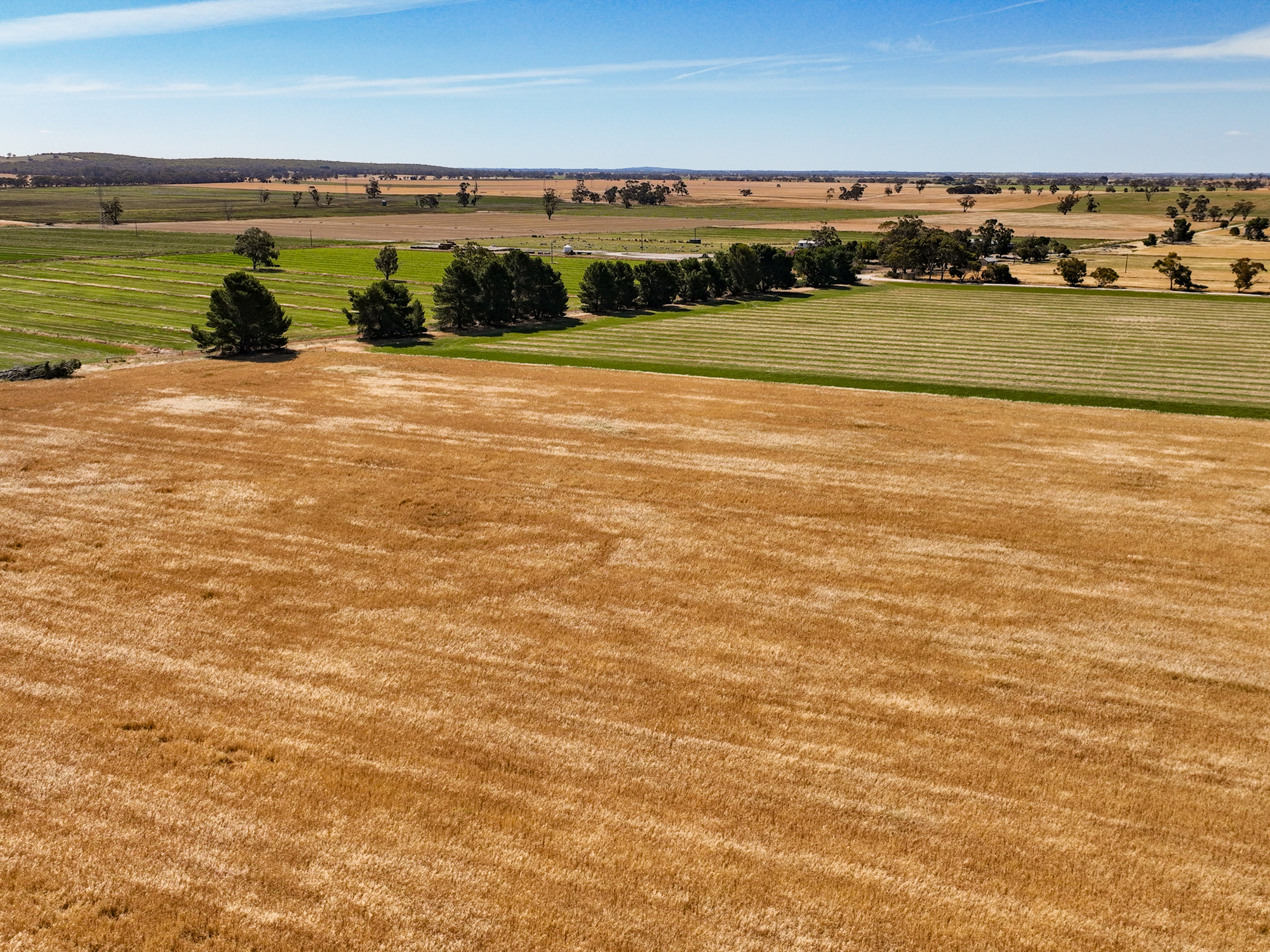 2212 Carew Road, Mundulla SA 5270