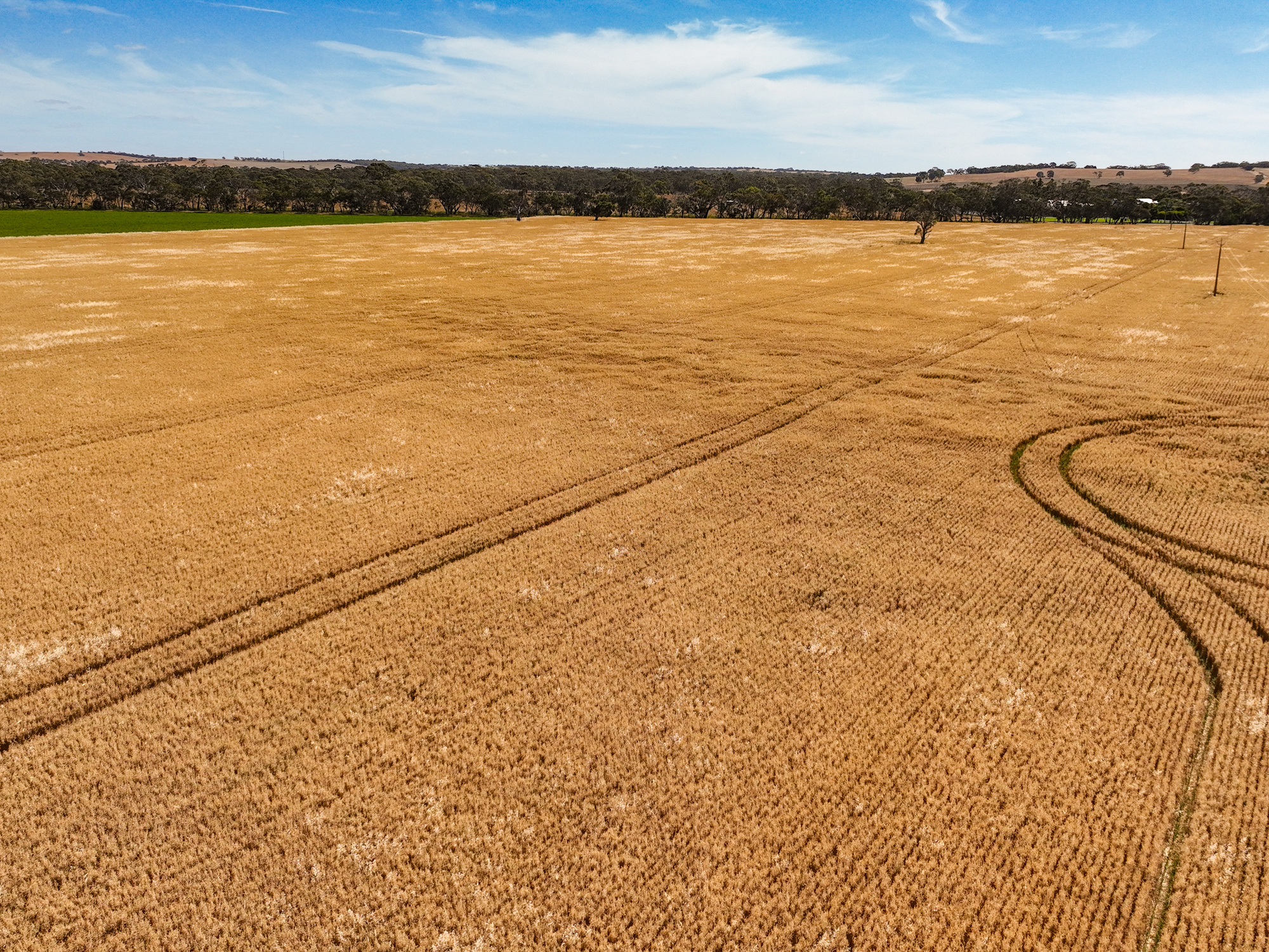 2212 Carew Road, Mundulla SA 5270