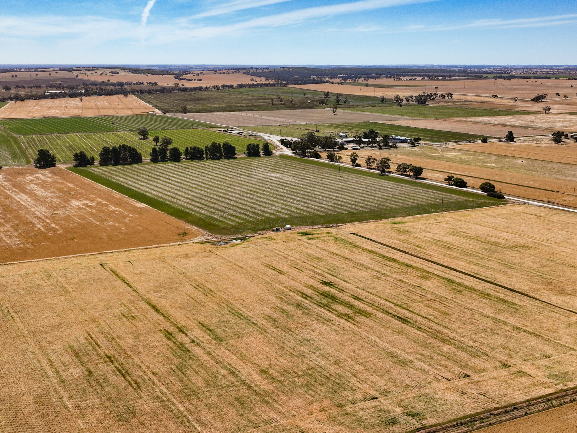 2212 Carew Road, Mundulla SA 5270