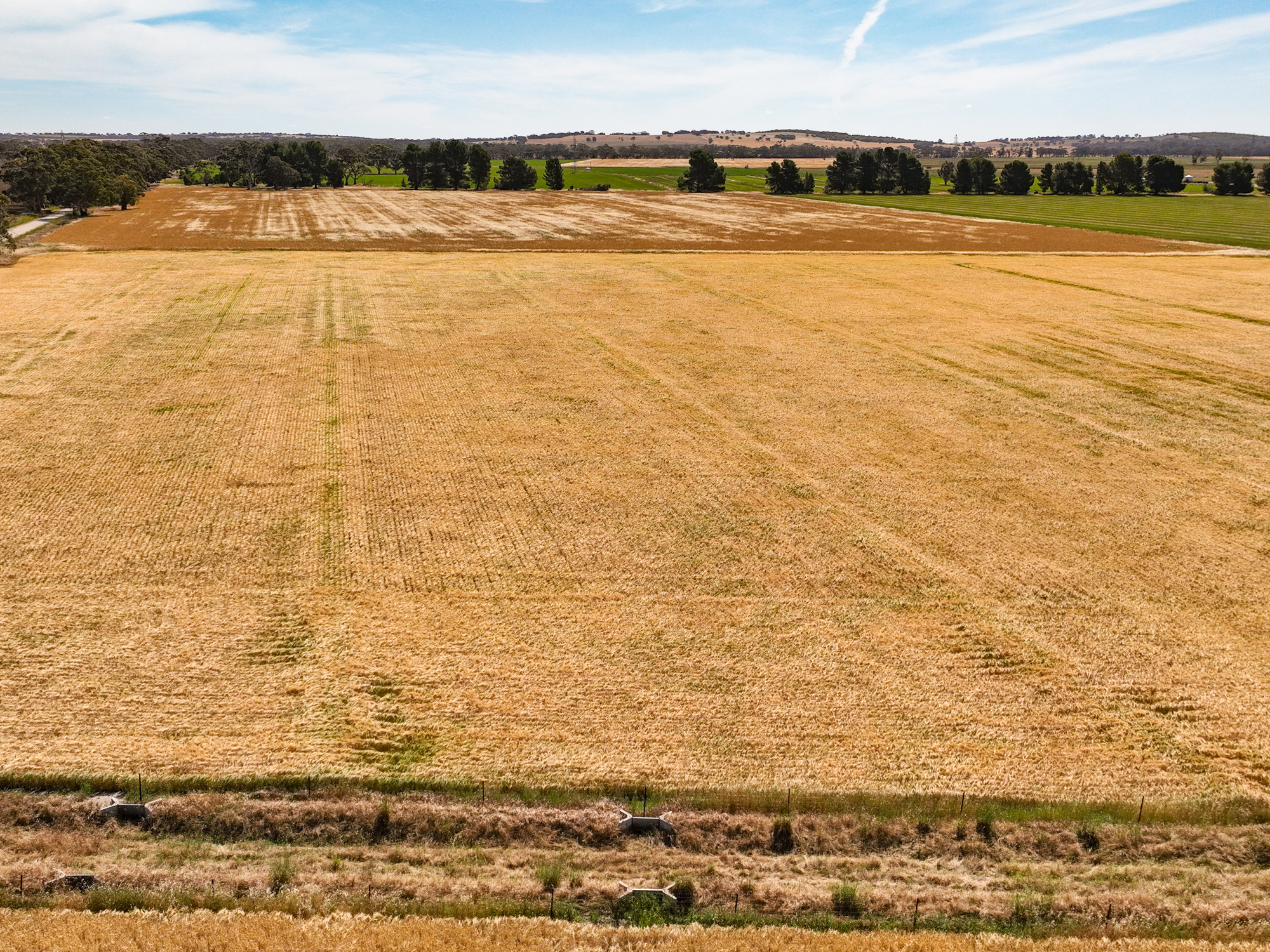 2212 Carew Road, Mundulla SA 5270