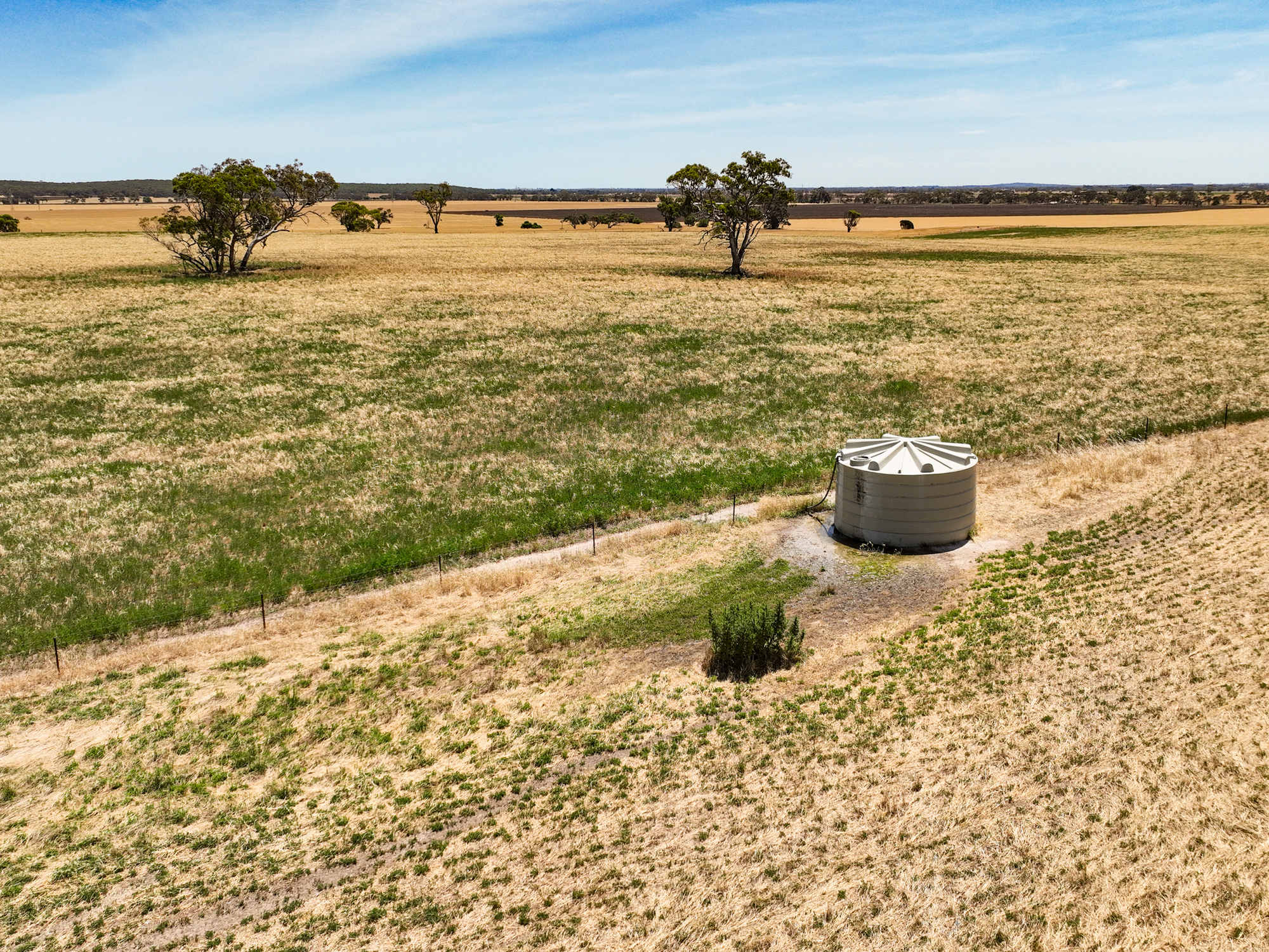 2212 Carew Road, Mundulla SA 5270