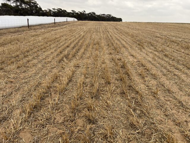 183 Kulkawurra Road, Karoonda SA 5307