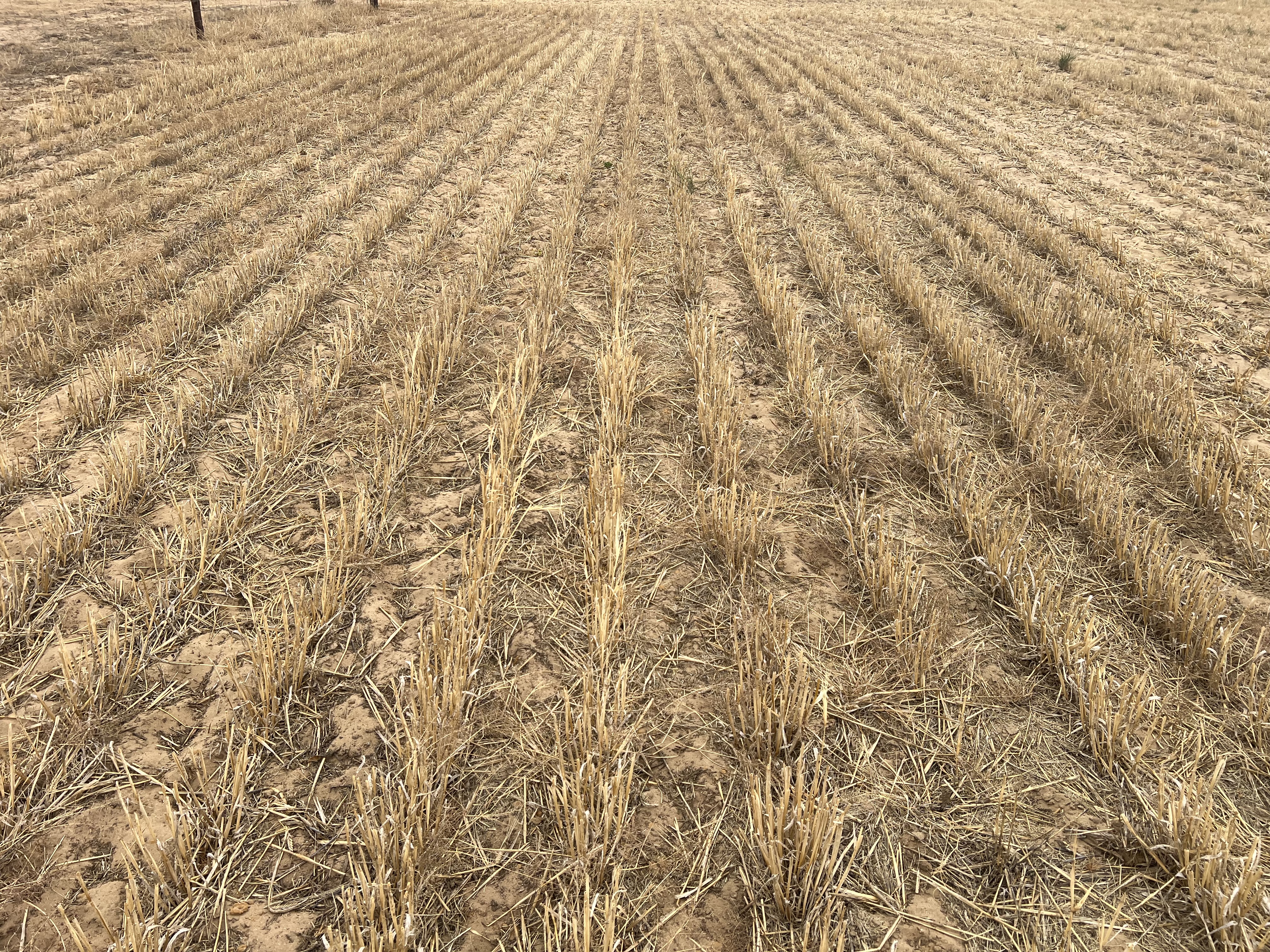 183 Kulkawurra Road, Karoonda SA 5307