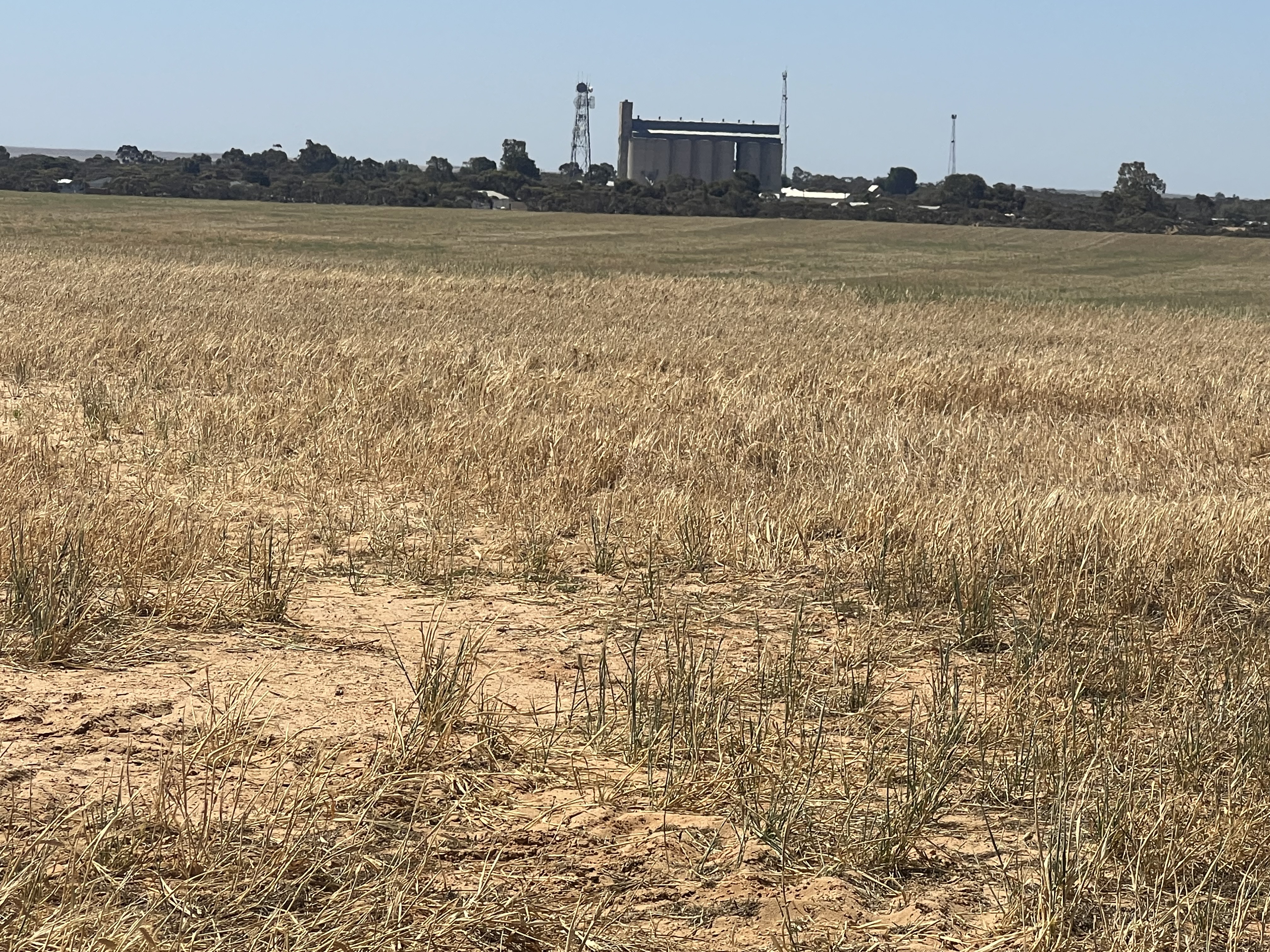 183 Kulkawurra Road, Karoonda SA 5307