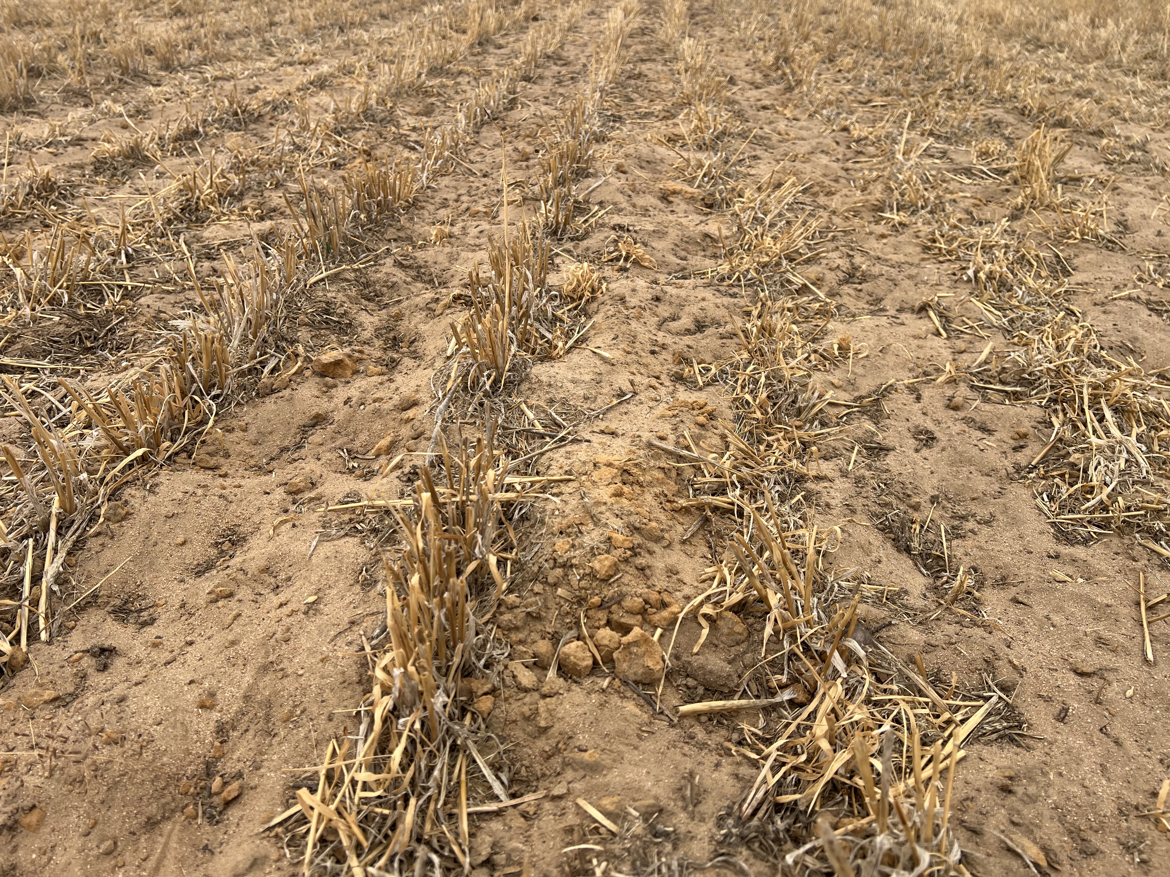 183 Kulkawurra Road, Karoonda SA 5307