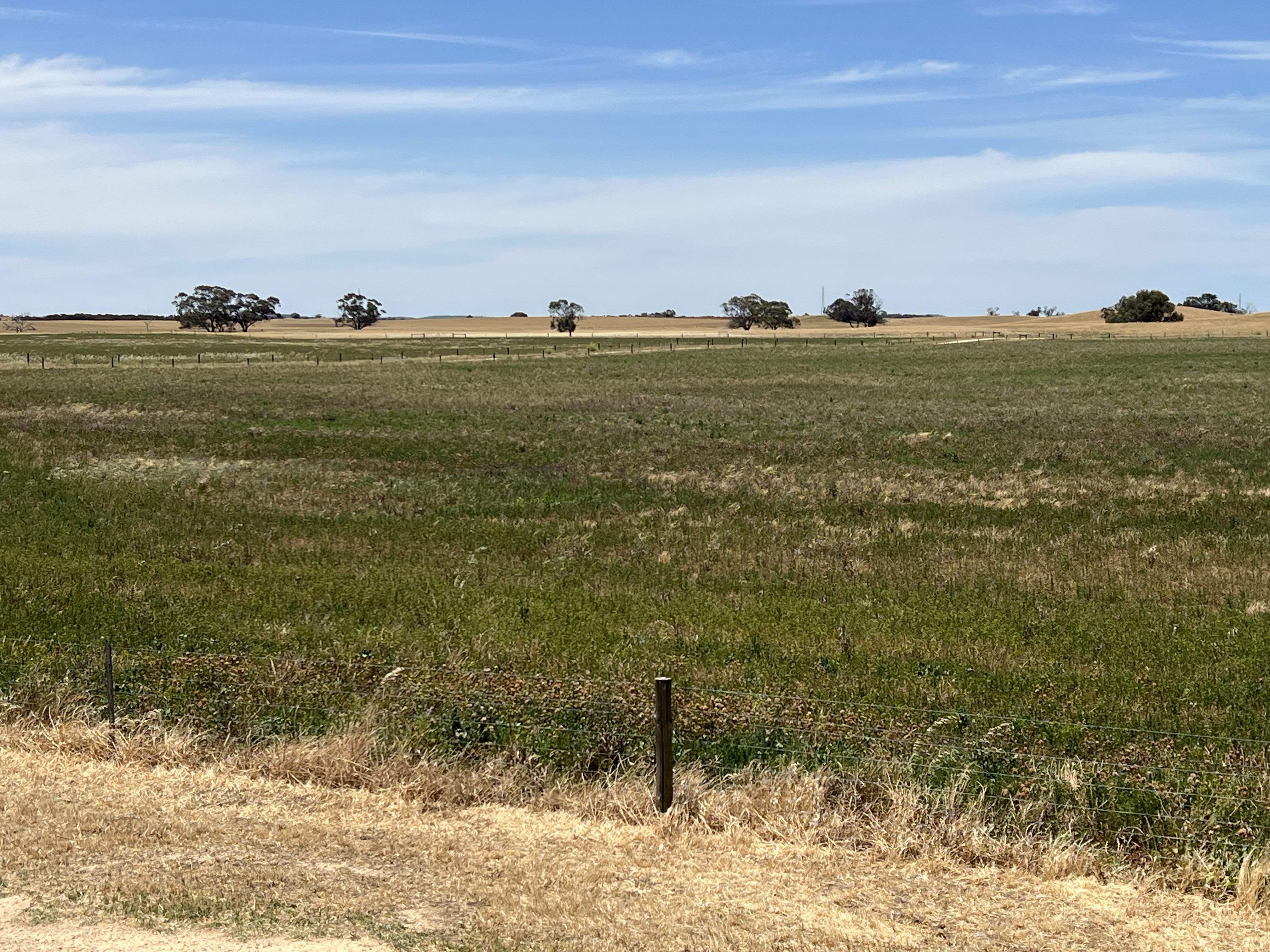 485 Freak Road, Coonalpyn SA 5265