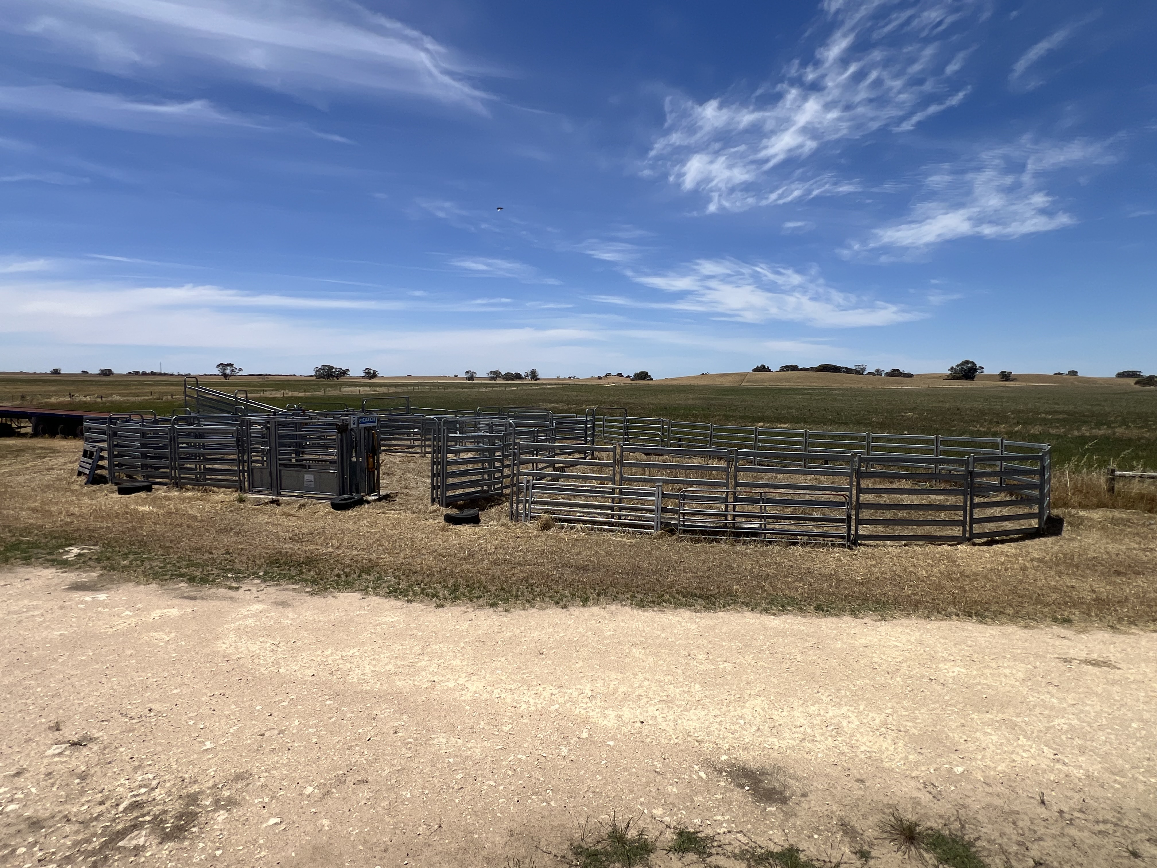 485 Freak Road, Coonalpyn SA 5265