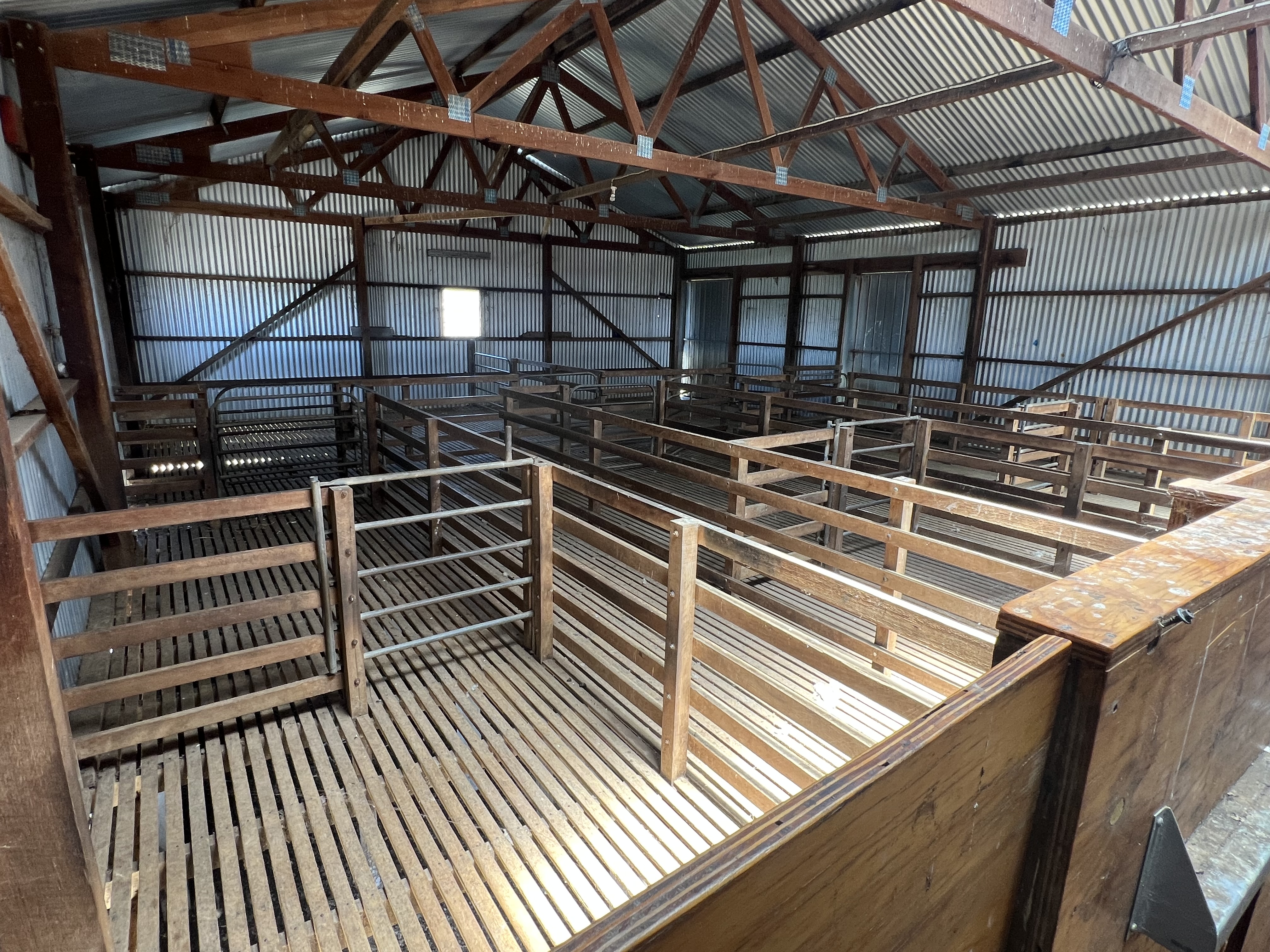 485 Freak Road, Coonalpyn SA 5265