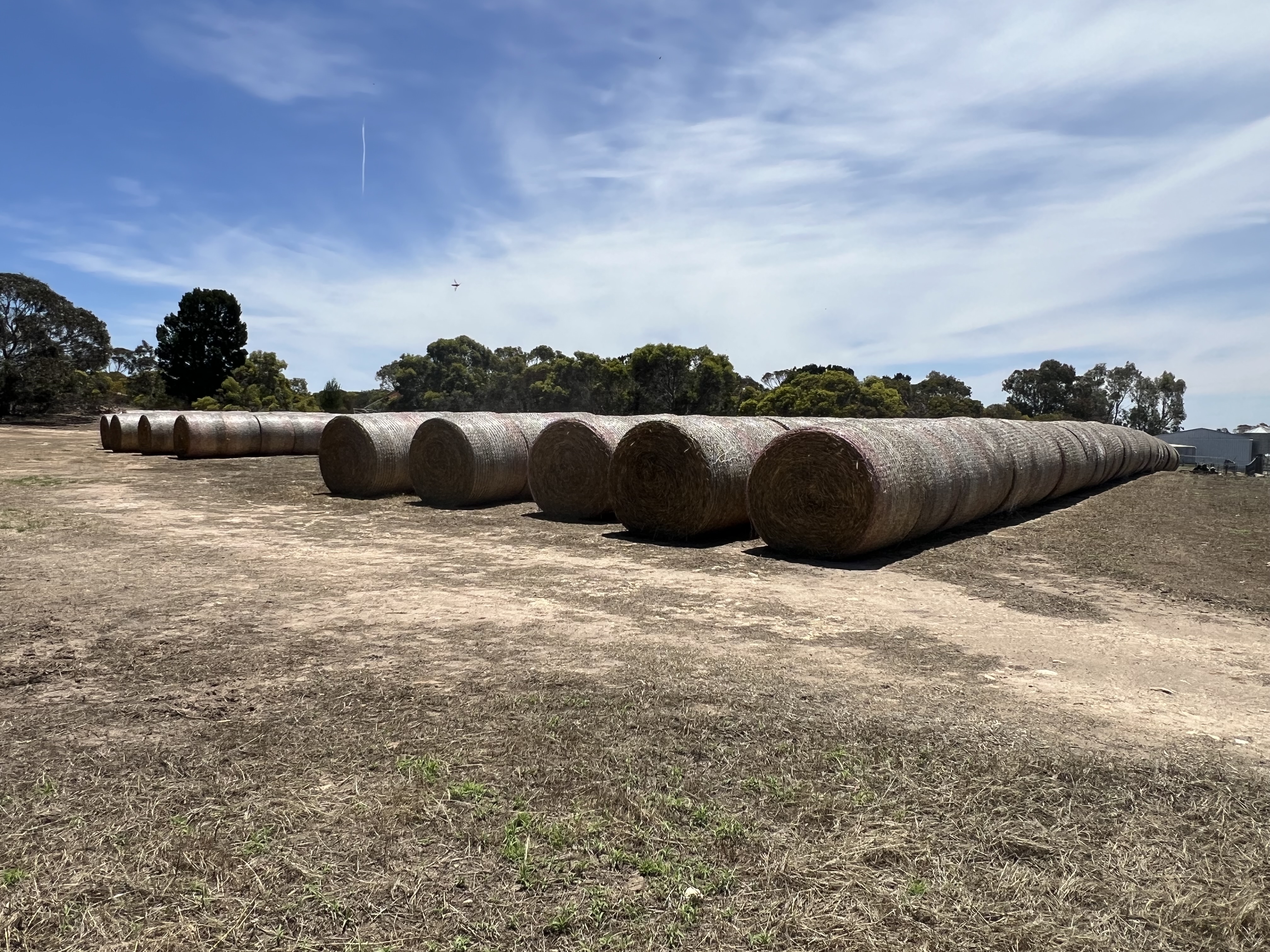 485 Freak Road, Coonalpyn SA 5265