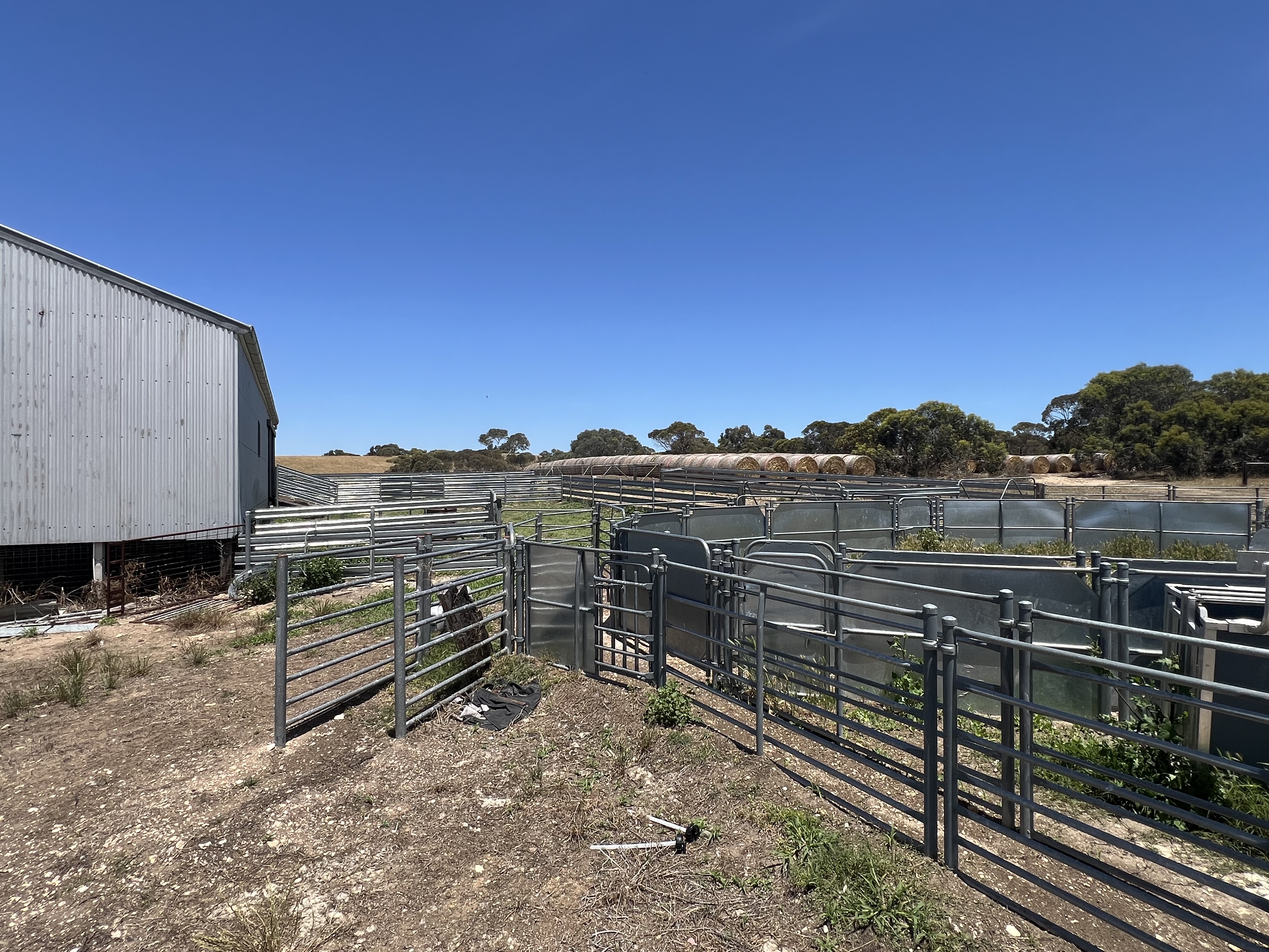 485 Freak Road, Coonalpyn SA 5265