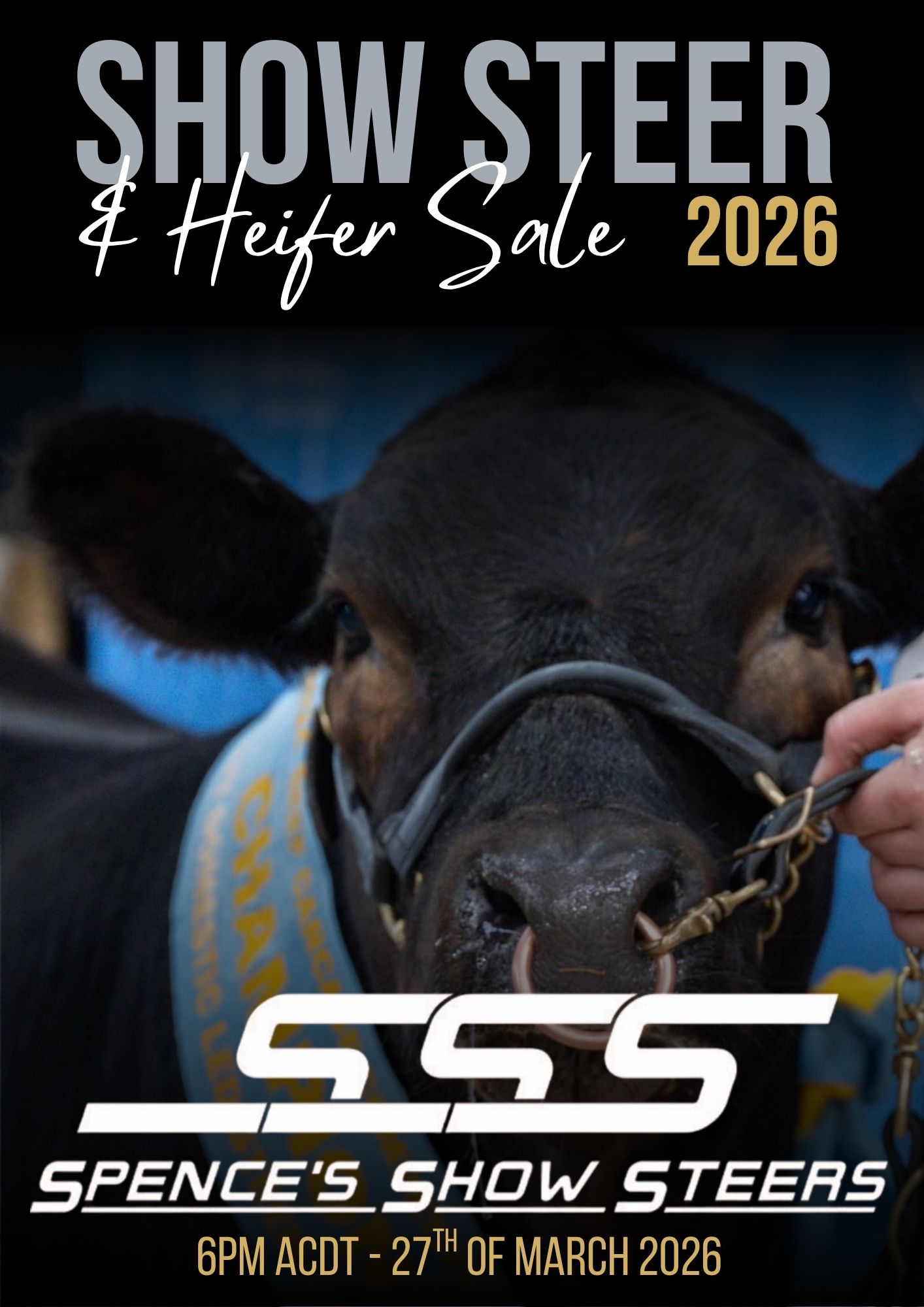 Spence’s Show Steers