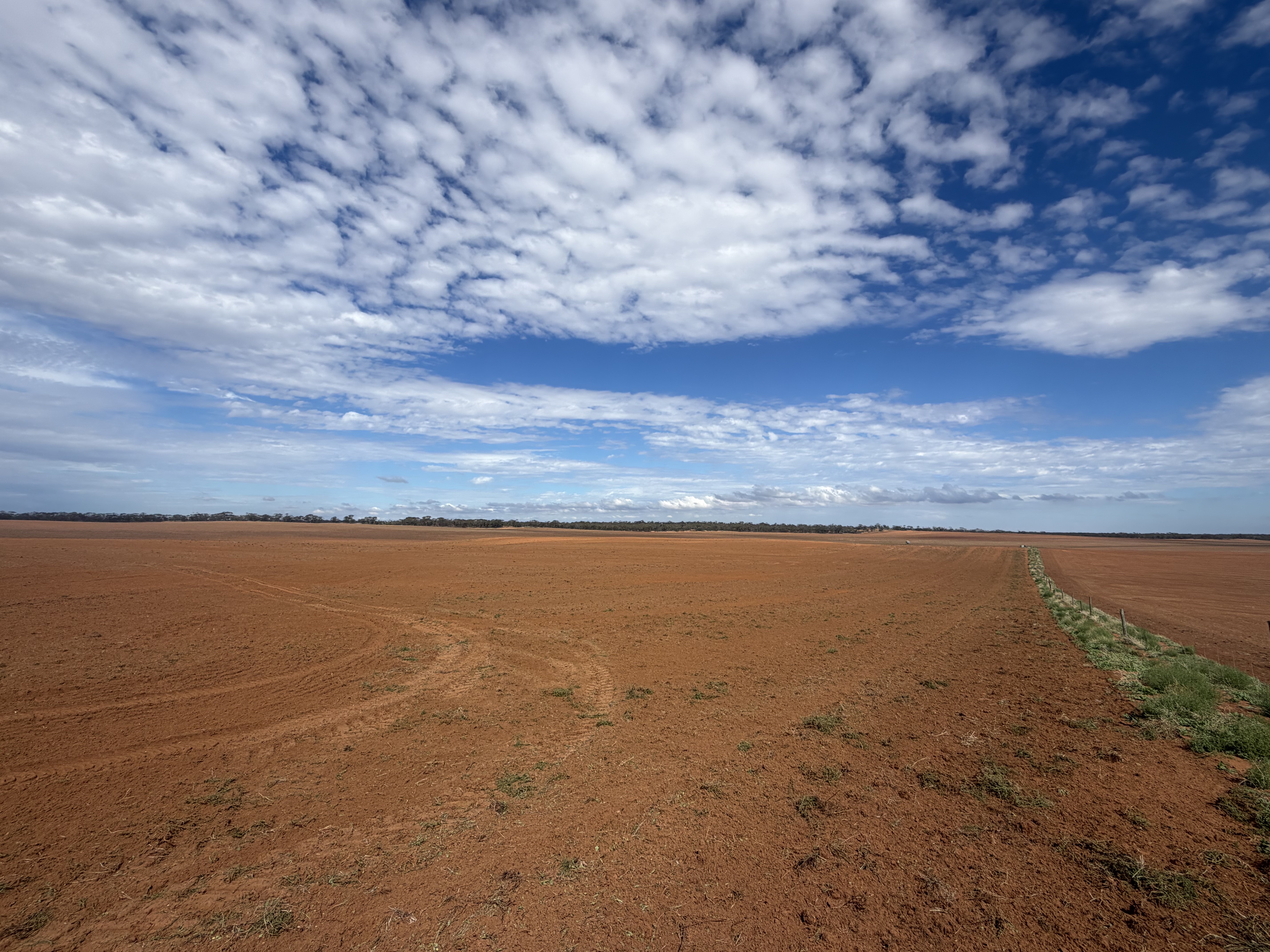 1719 New Well Road, Waikerie SA 5330