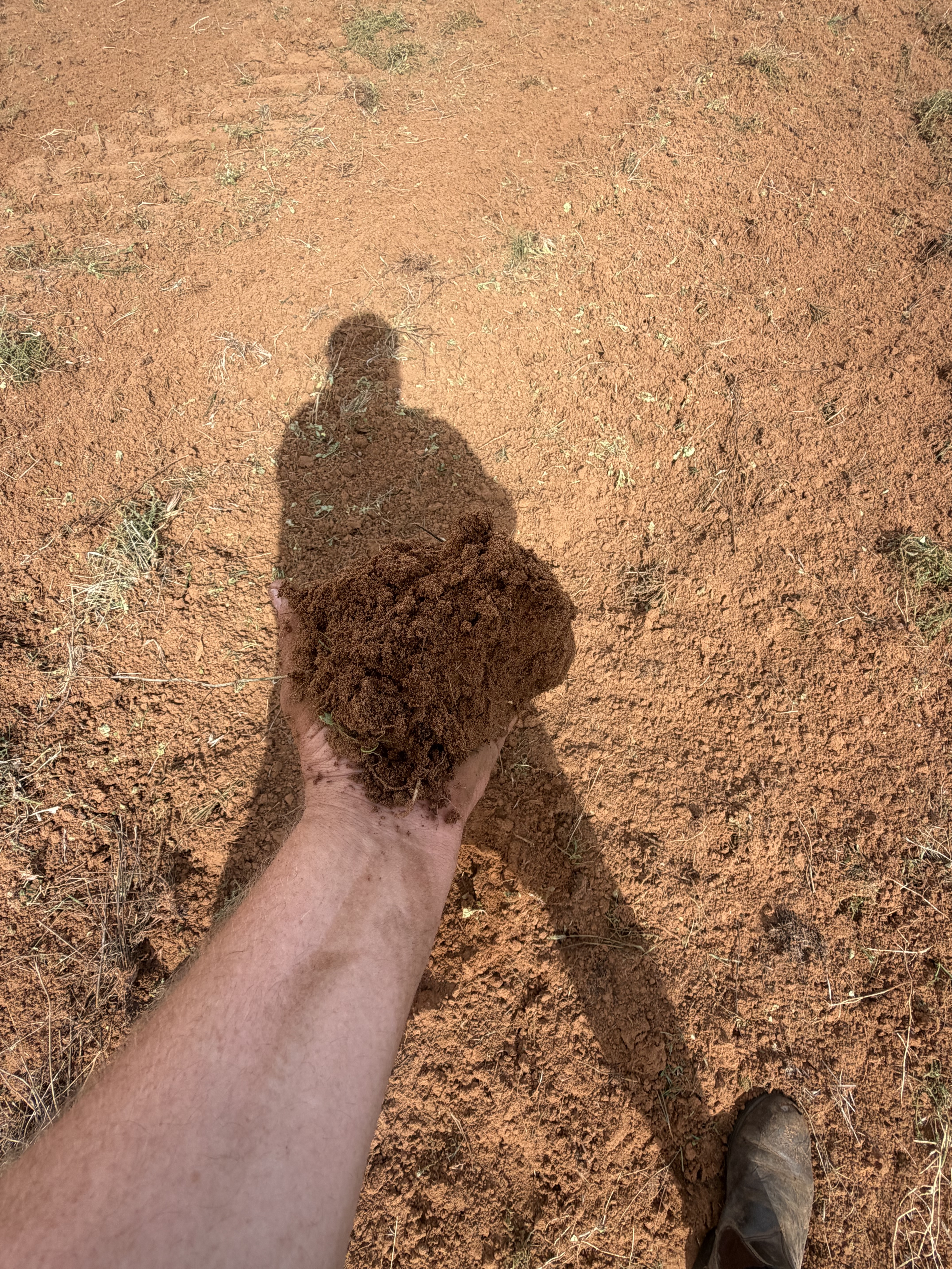 1719 New Well Road, Waikerie SA 5330