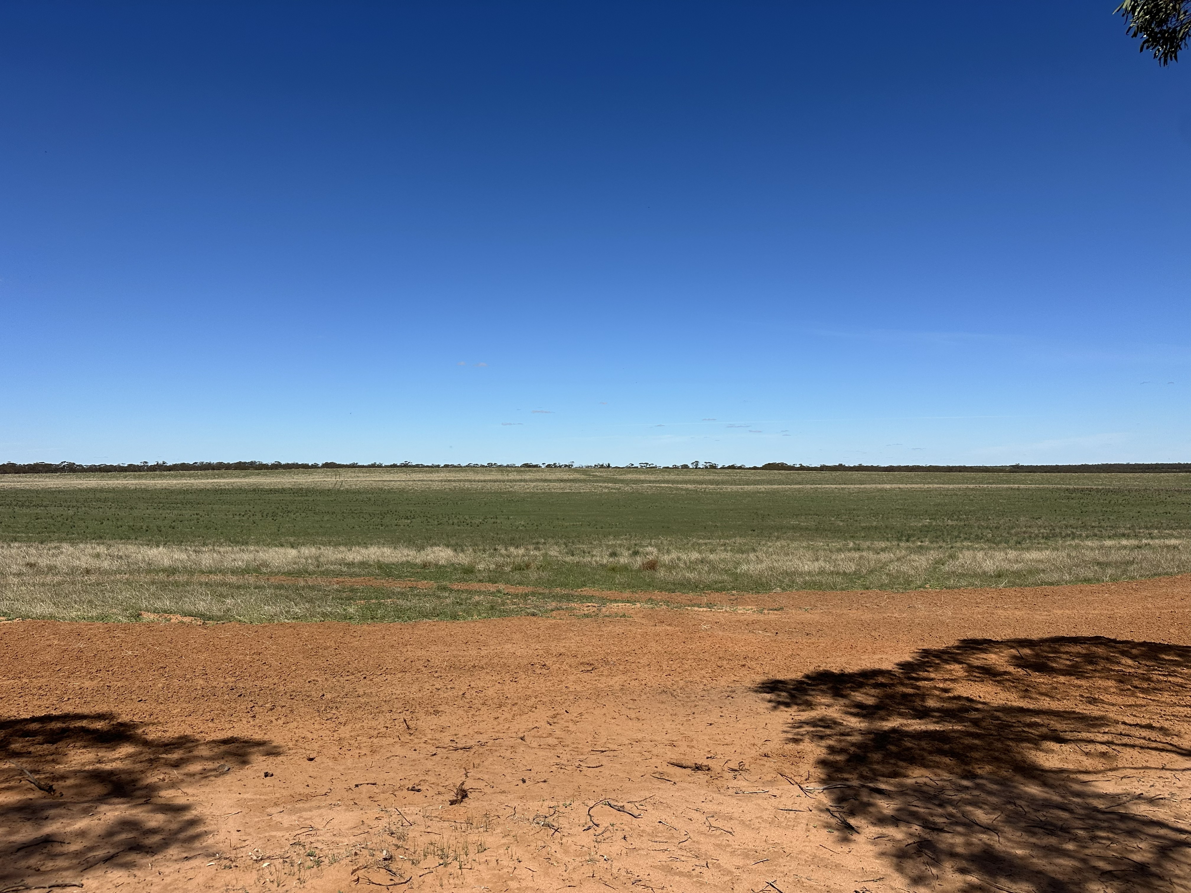 1719 New Well Road, Waikerie SA 5330