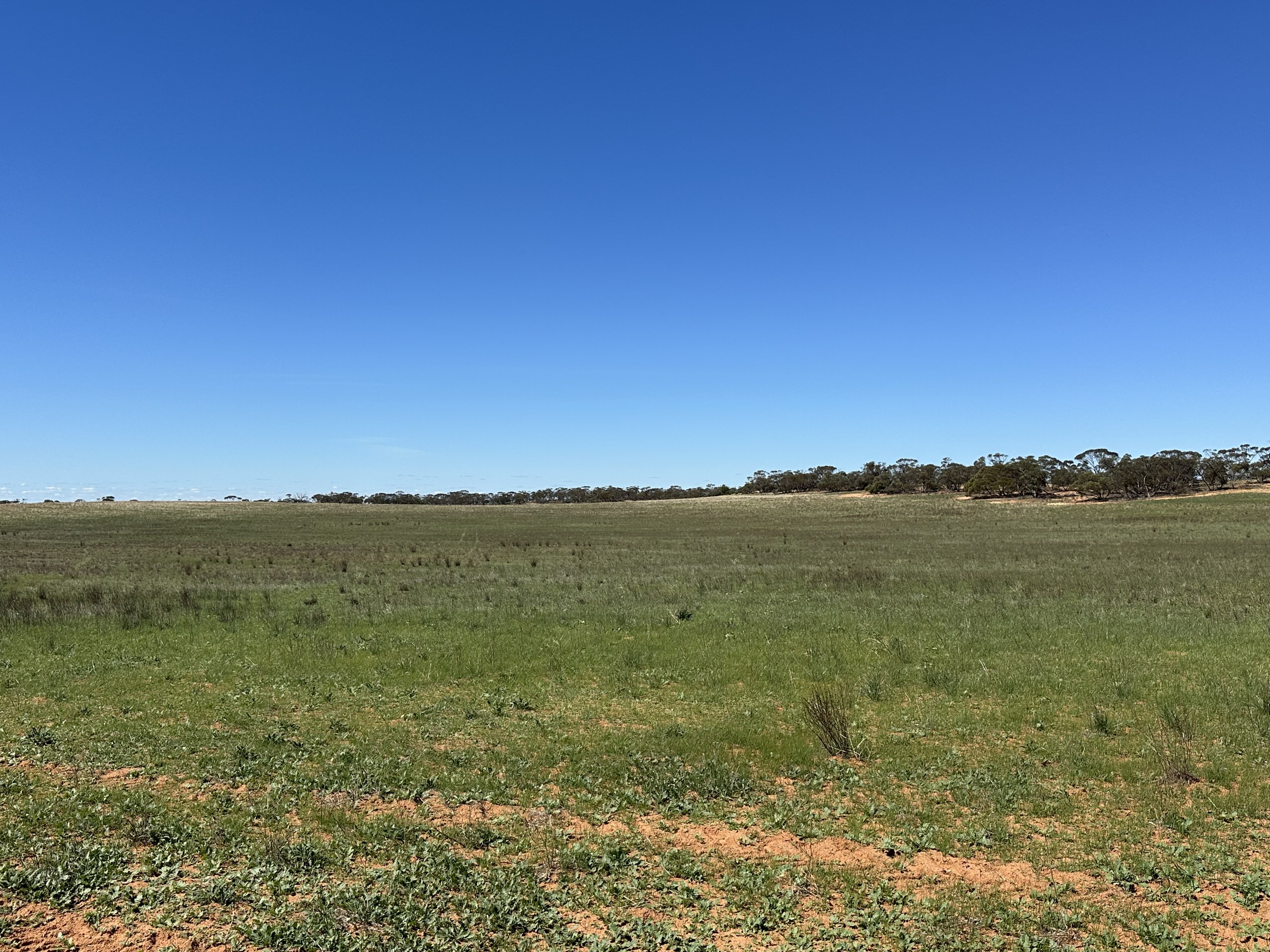 1719 New Well Road, Waikerie SA 5330