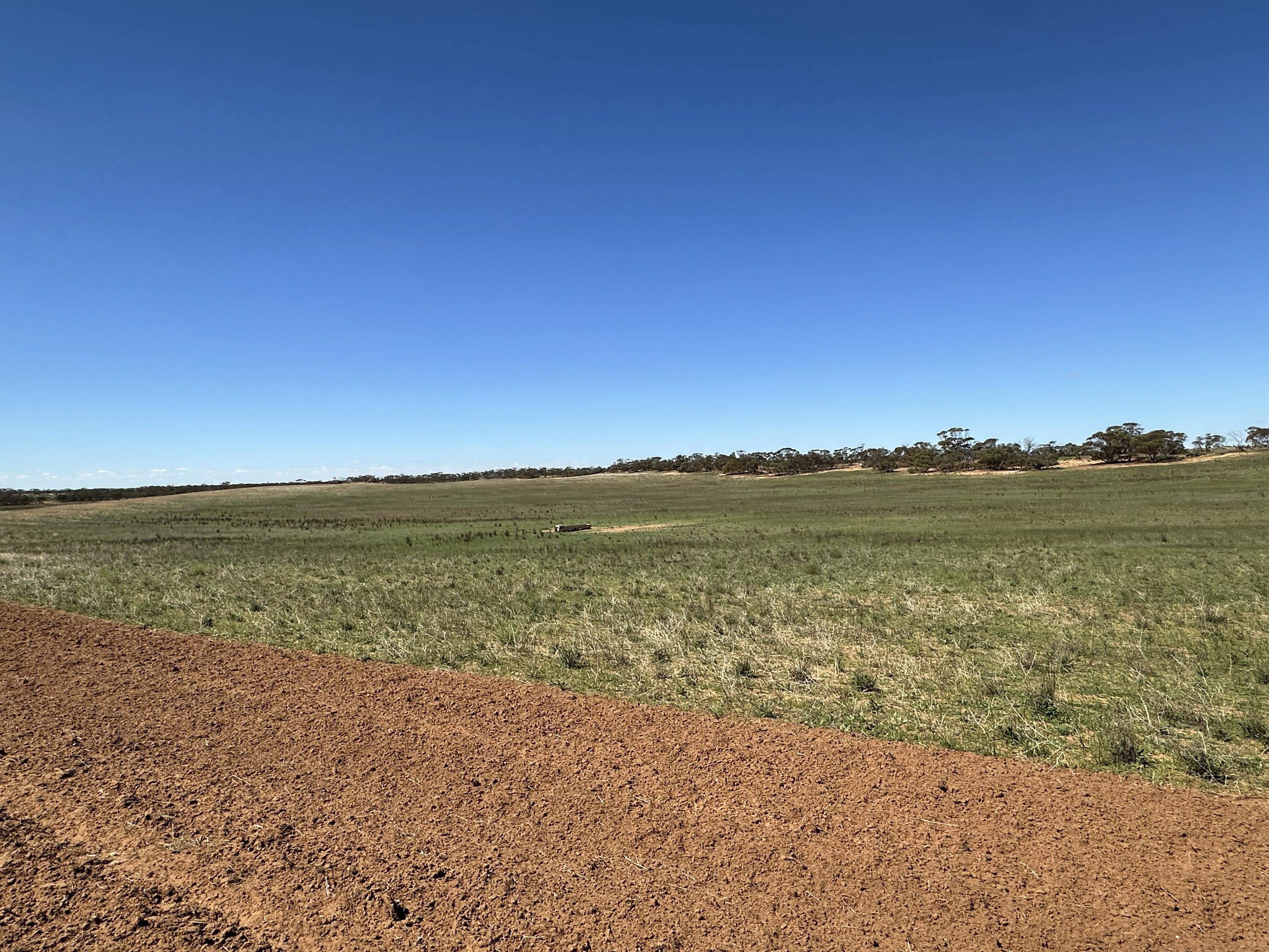 1719 New Well Road, Waikerie SA 5330