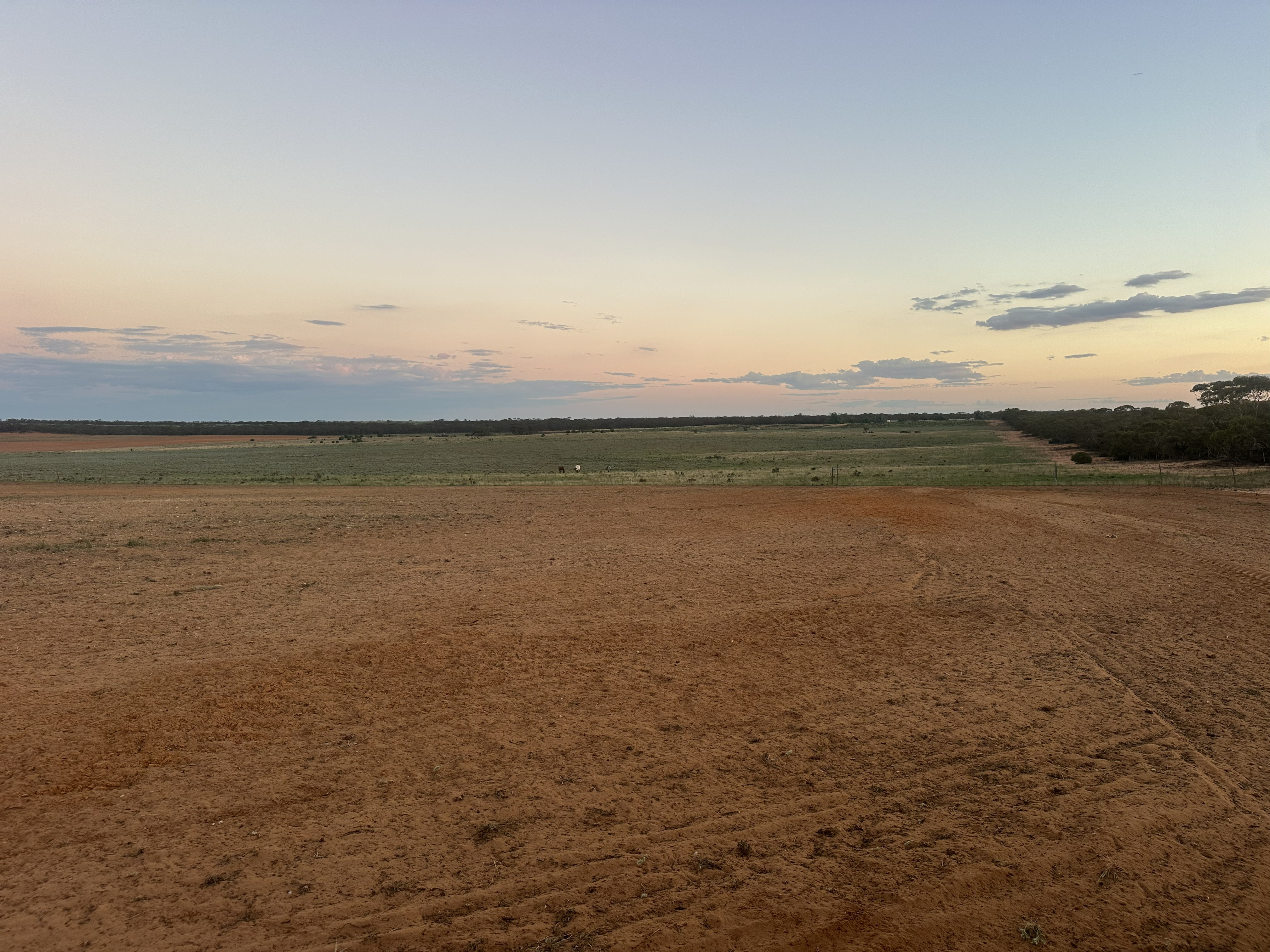 1719 New Well Road, Waikerie SA 5330