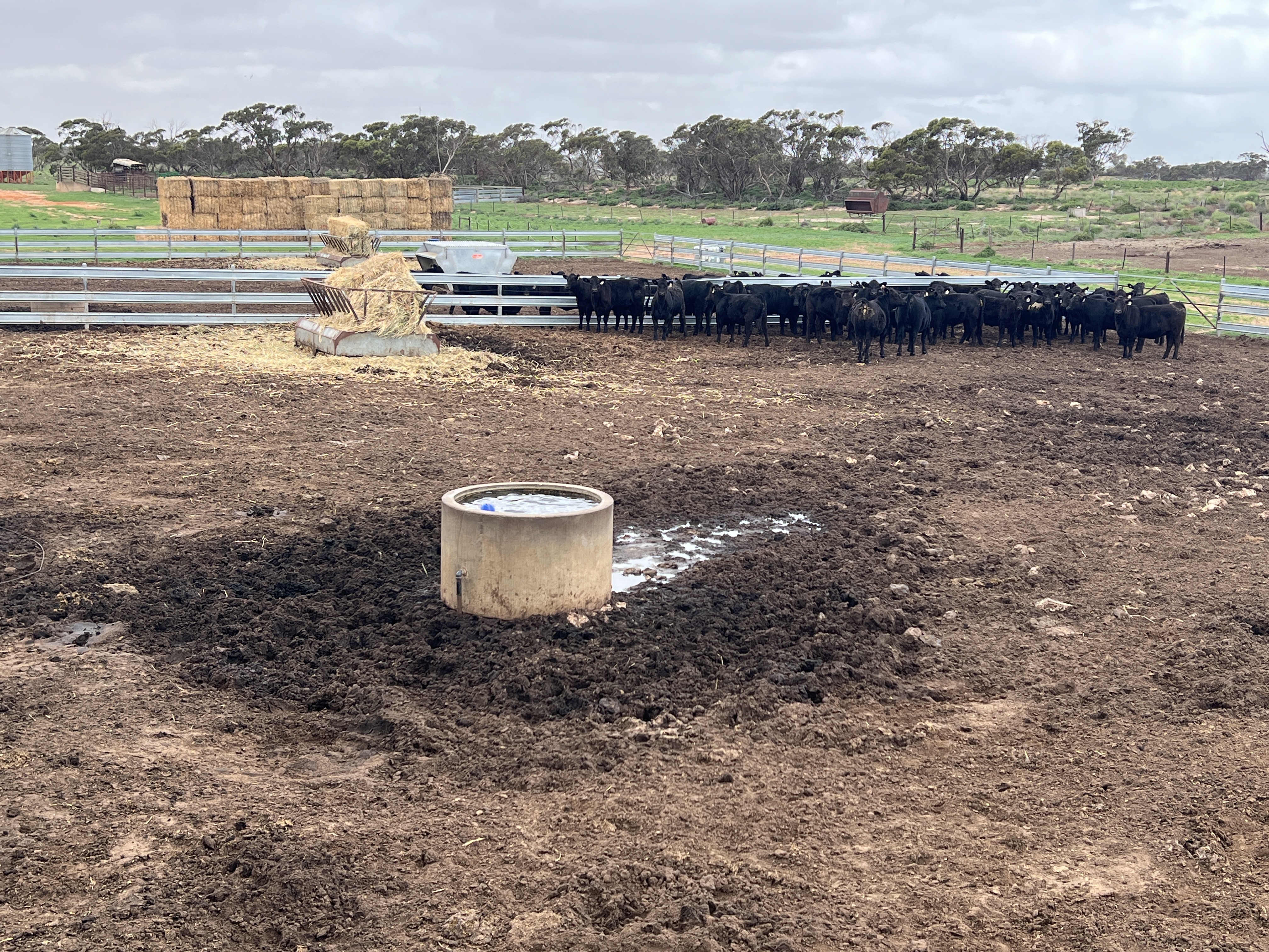 Allotment 92 Perponda Road, Karoonda SA 5307