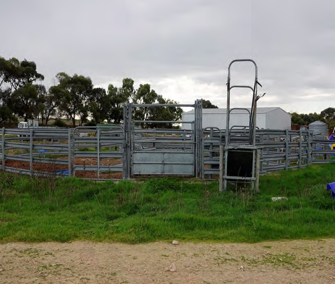 394 Coombe Road, Tintinara SA 5266
