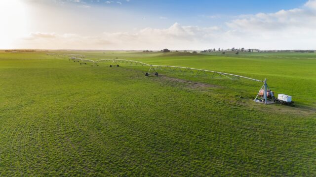 394 Coombe Road, Tintinara SA 5266