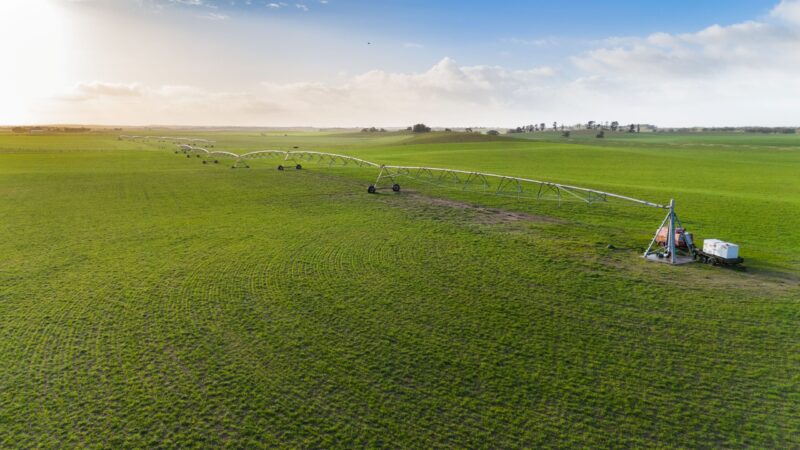 394 Coombe Road, Tintinara SA 5266