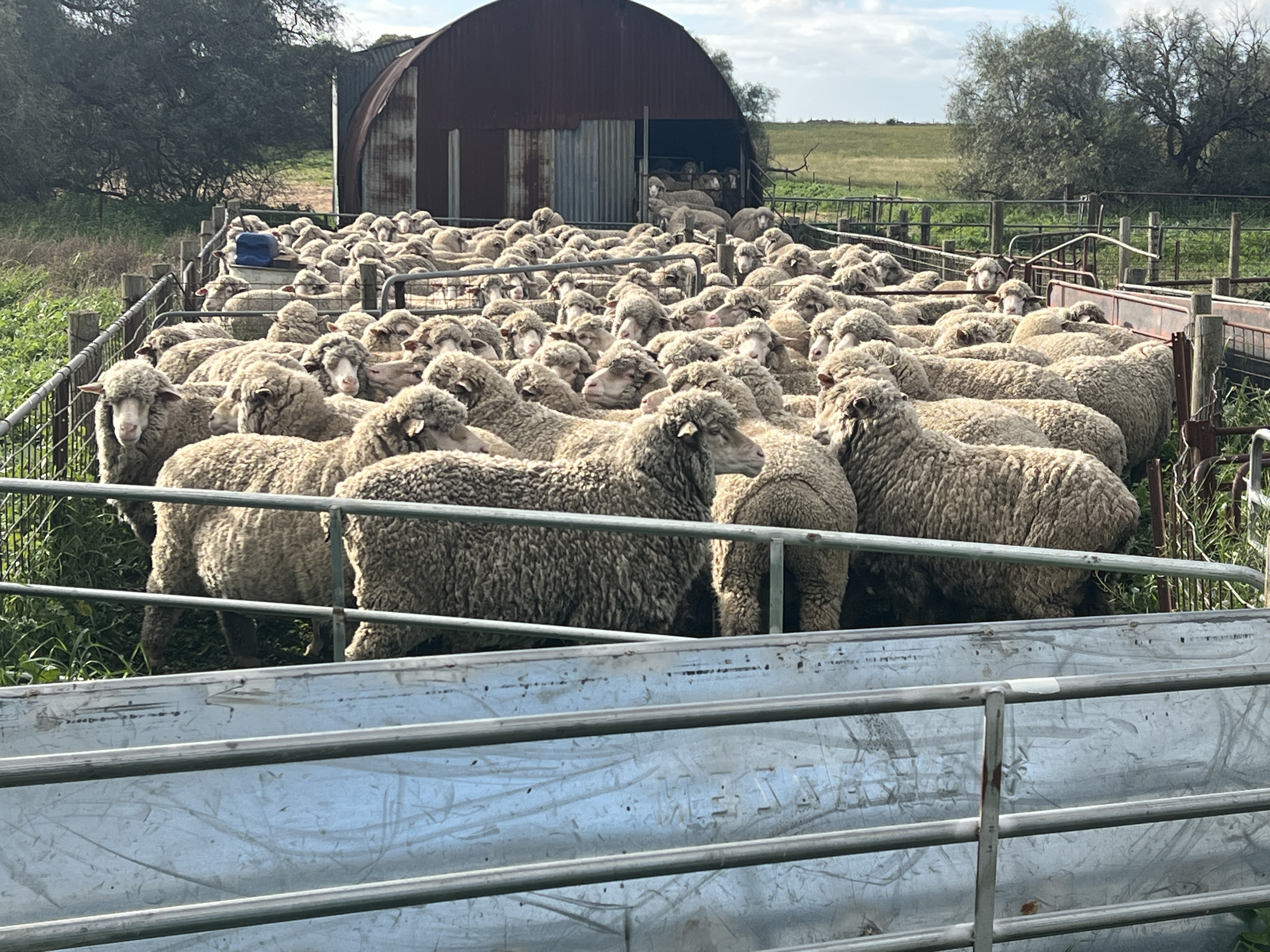 183 Kulkawurra Road, Karoonda SA 5307