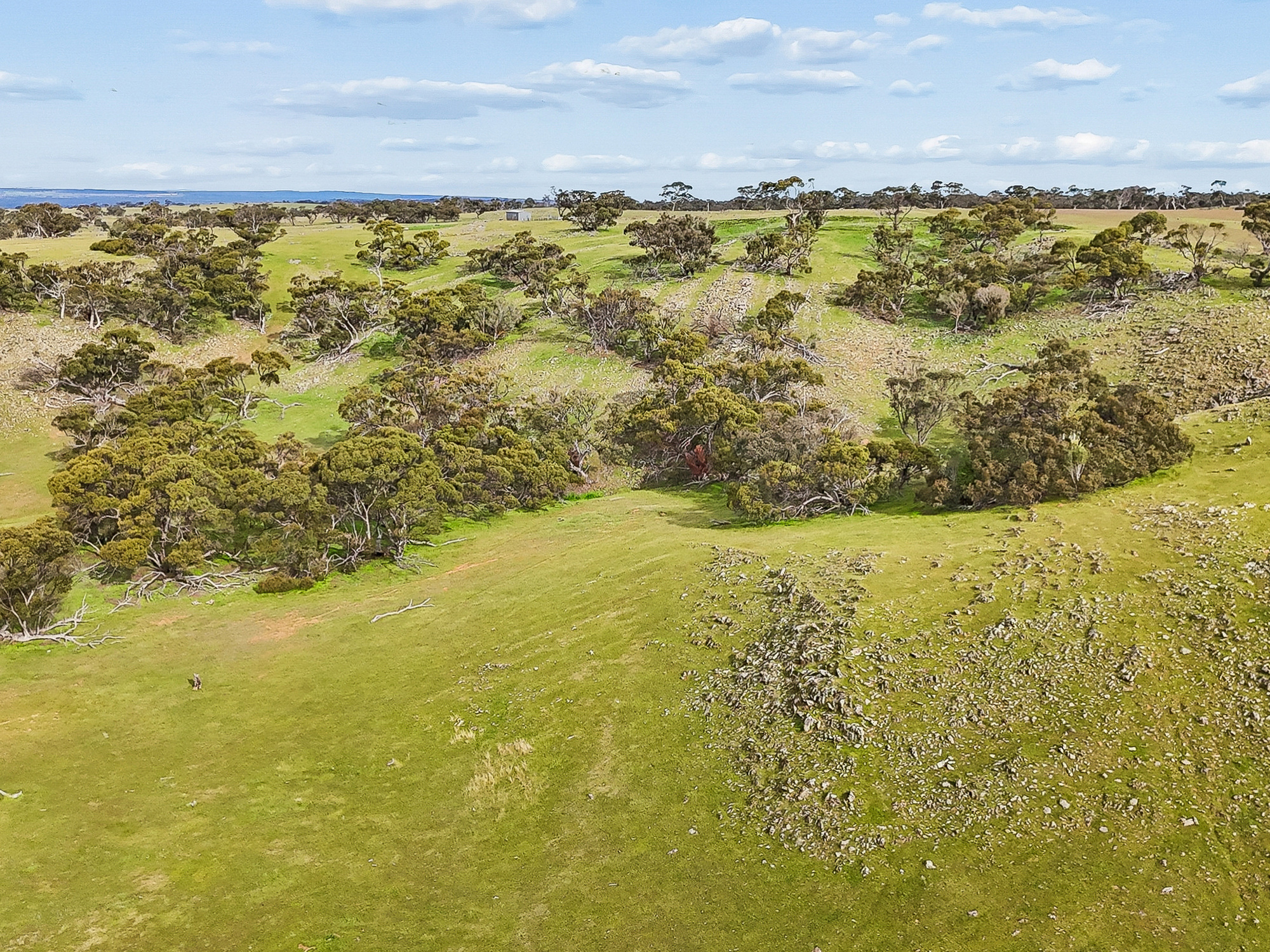 Lot 107 Critchley Road, Rockleigh SA 5254