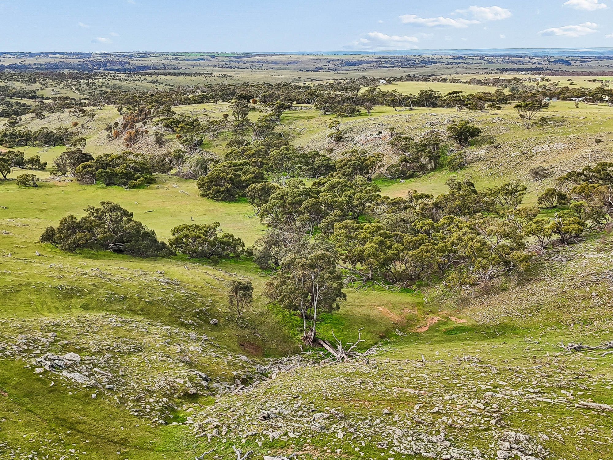 Lot 107 Critchley Road, Rockleigh SA 5254