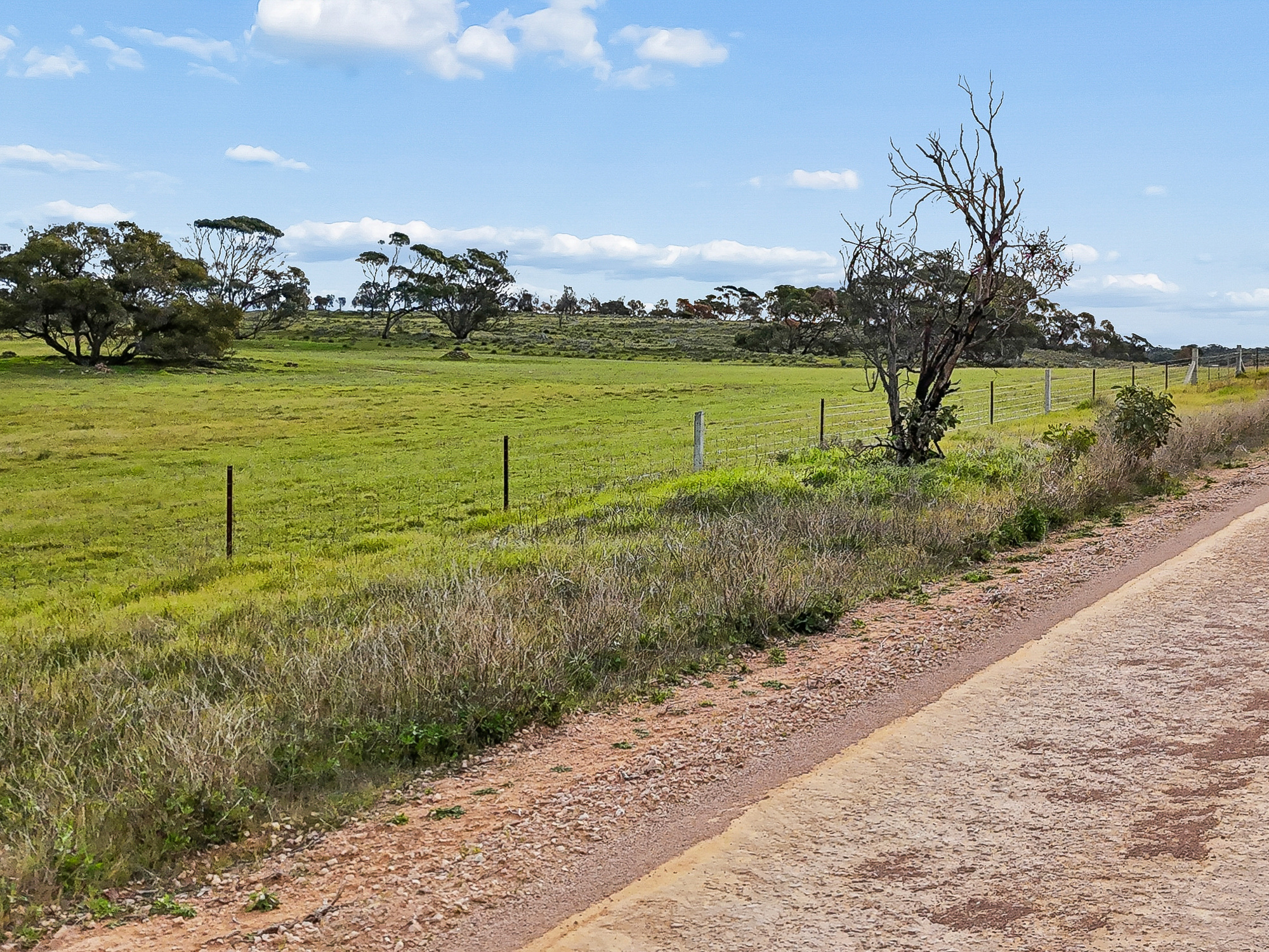 Lot 107 Critchley Road, Rockleigh SA 5254
