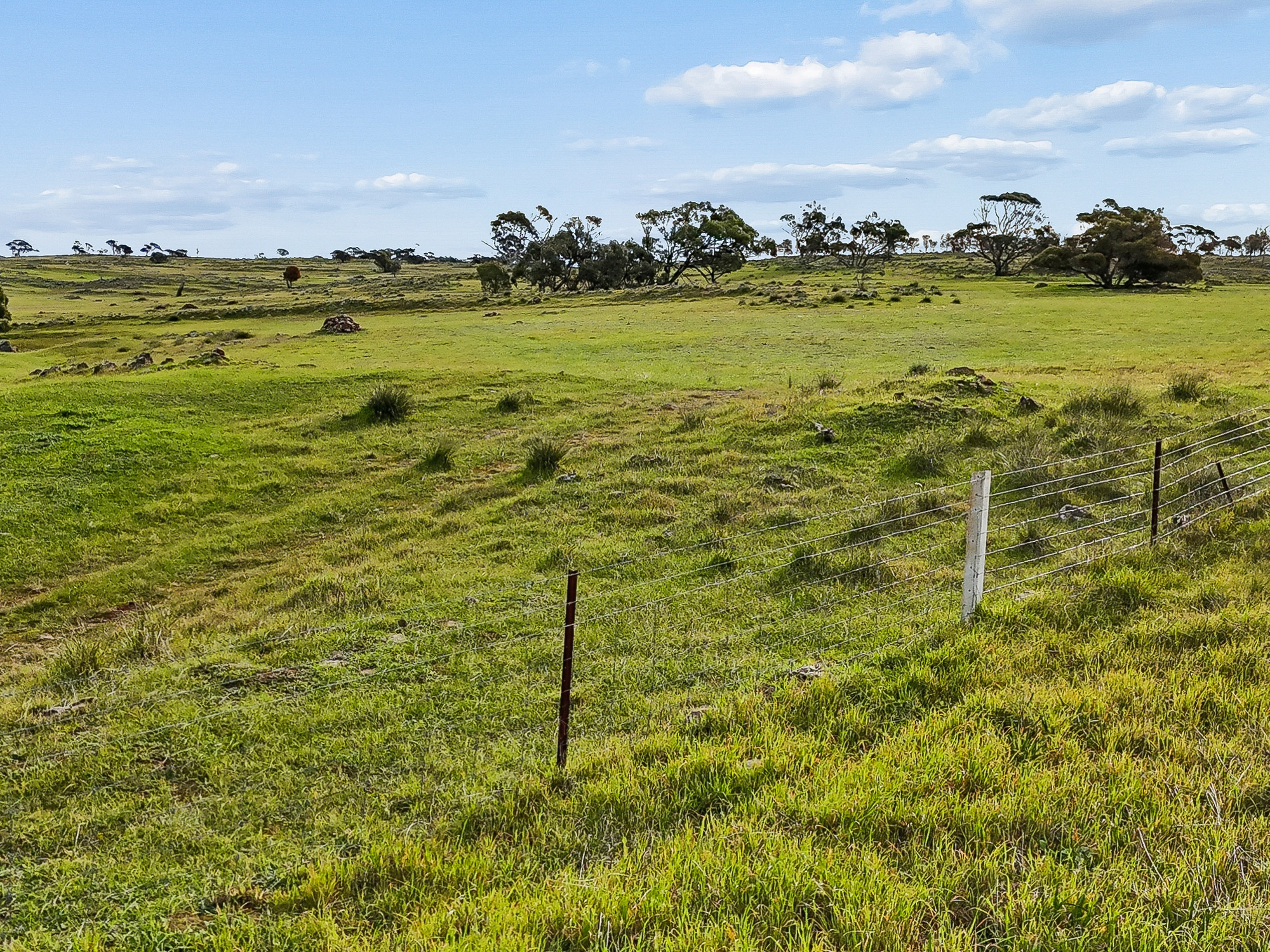 Lot 107 Critchley Road, Rockleigh SA 5254