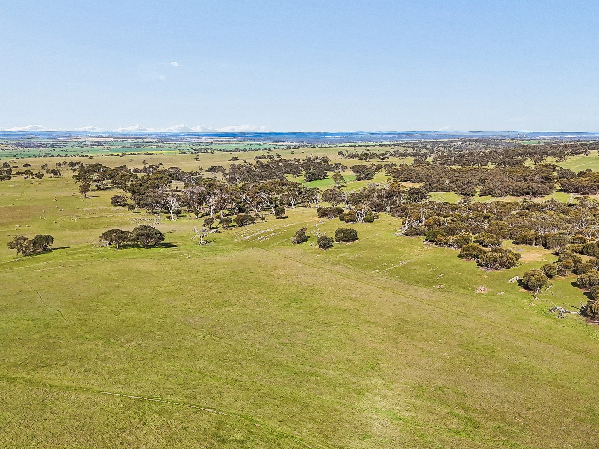 Lot 107 Critchley Road, Rockleigh SA 5254