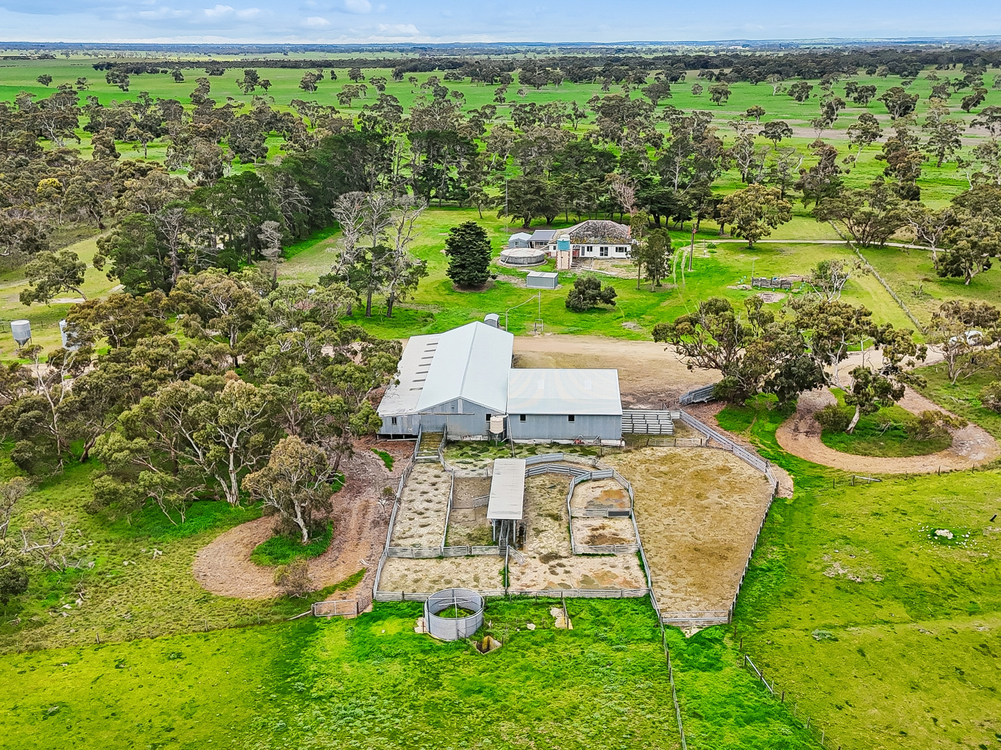 103 & 314 Filmer Road, Tintinara SA 5266