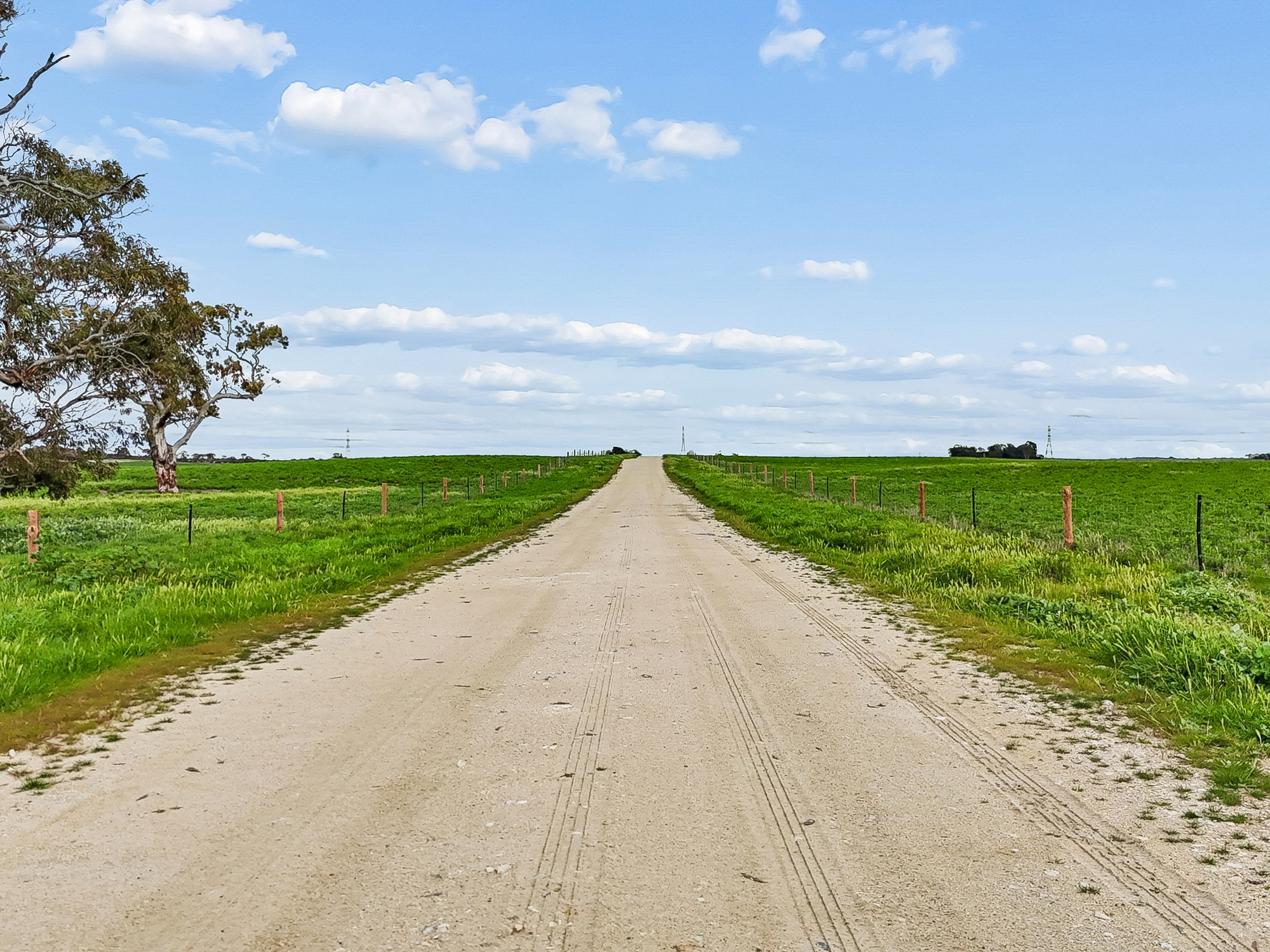 103 & 314 Filmer Road, Tintinara SA 5266