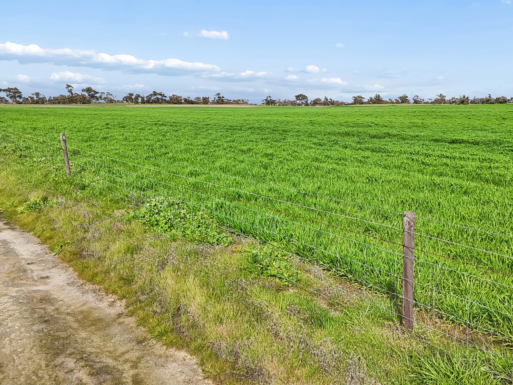 103 & 314 Filmer Road, Tintinara SA 5266