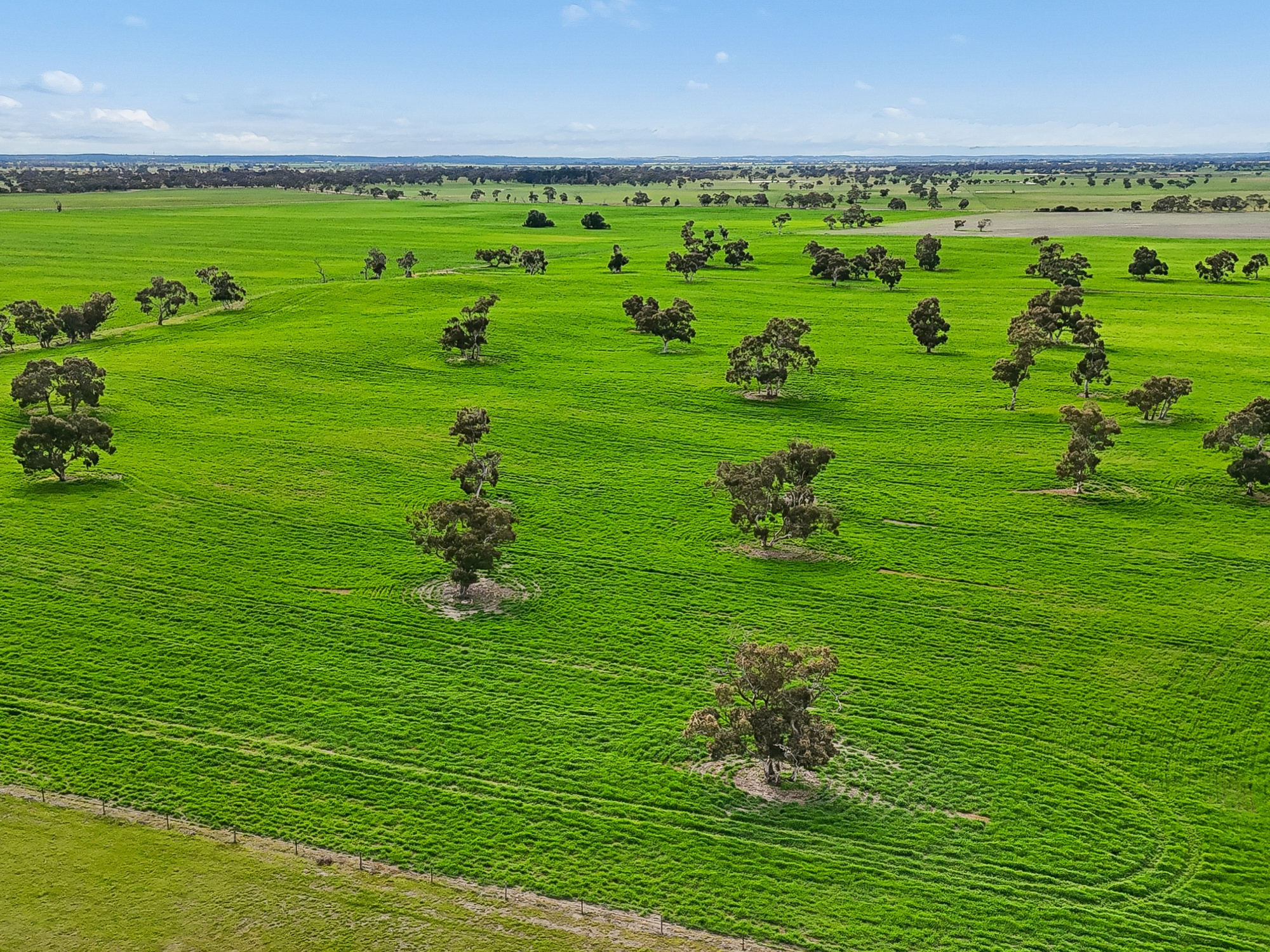 103 & 314 Filmer Road, Tintinara SA 5266