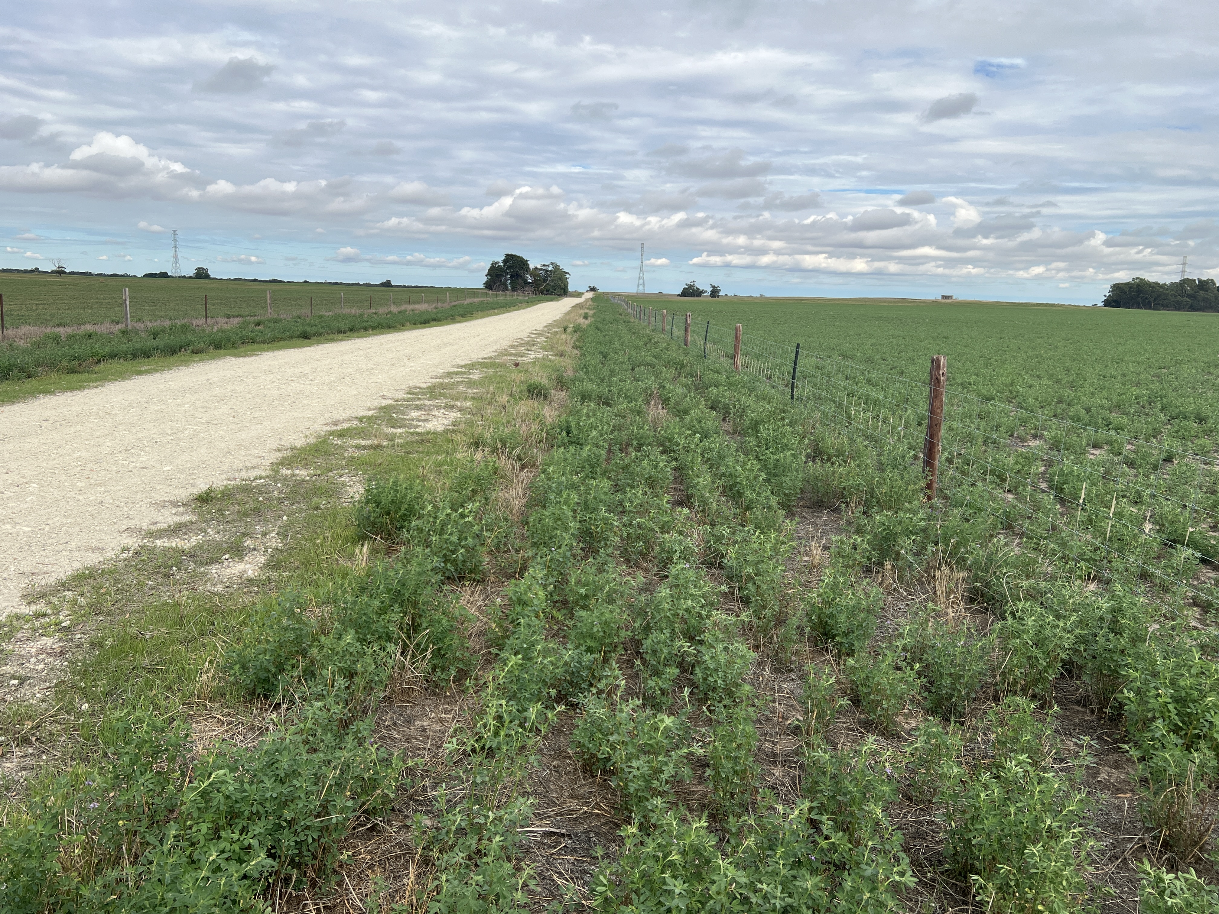 103 & 314 Filmer Road, Tintinara SA 5266