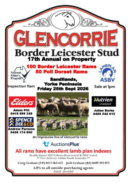 Glencorrie Border Leicester Stud Annual On Property Ram Sale