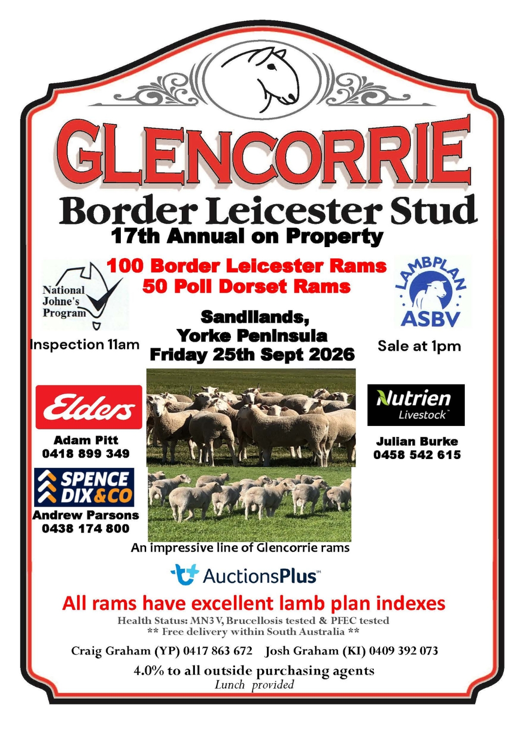 Glencorrie Border Leicester Stud Annual On Property Ram Sale