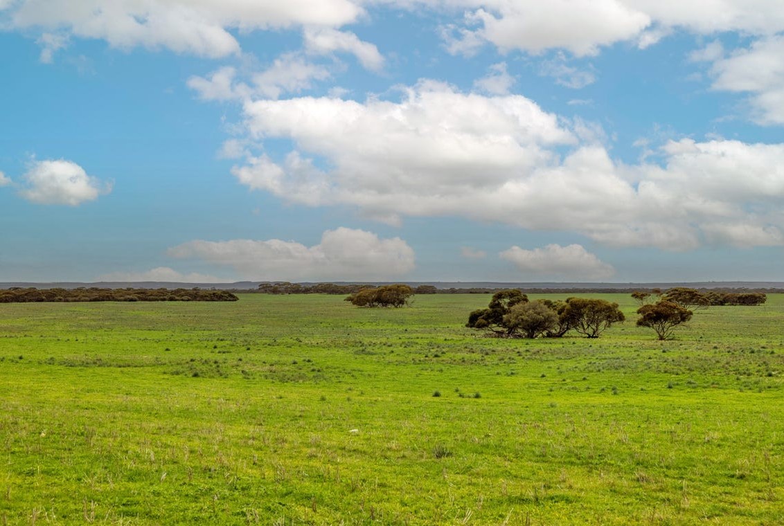 2293 Mallee Highway, Sherlock SA 5301