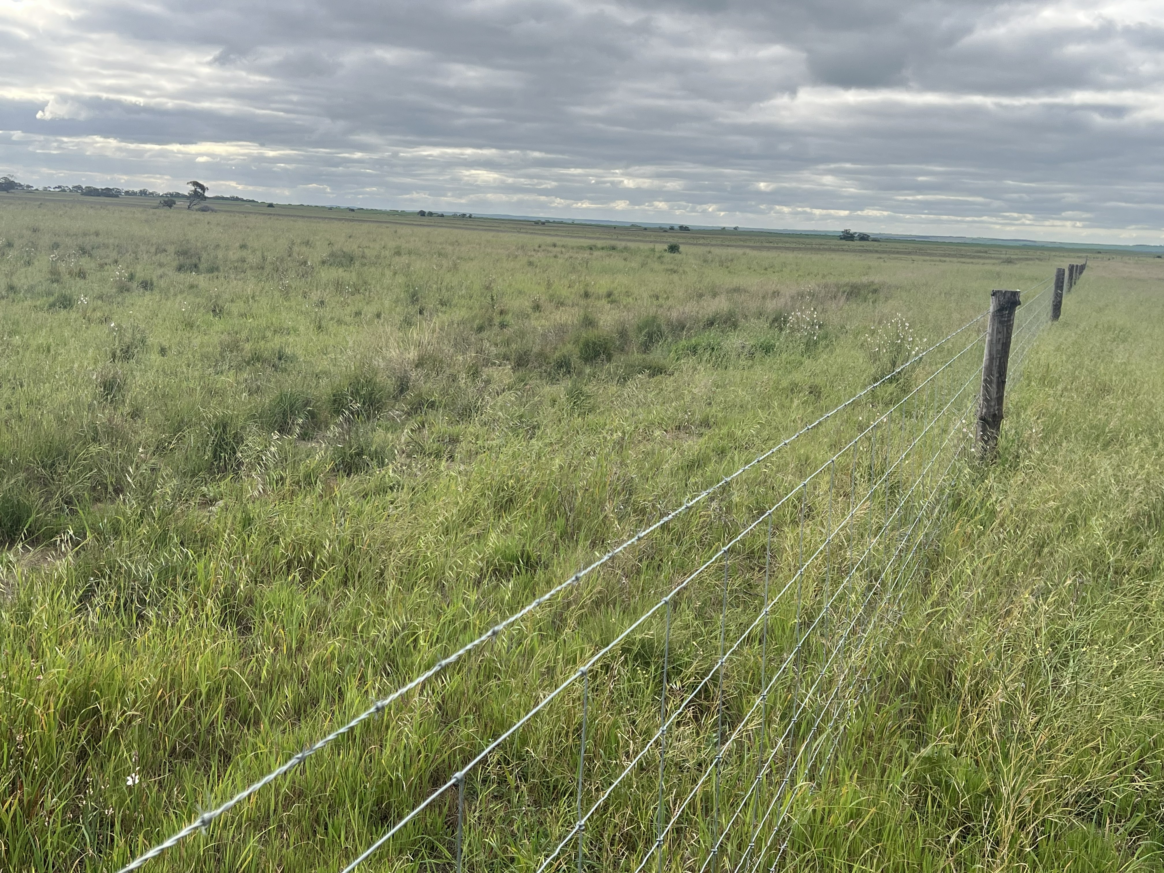 322 Netherton Road, Peake SA 5301